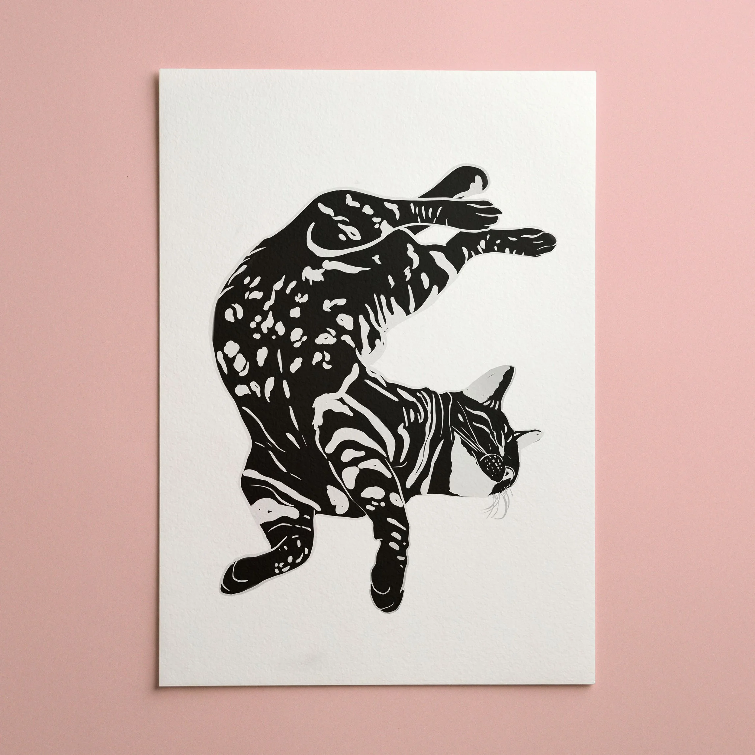 Affiche chat minimaliste