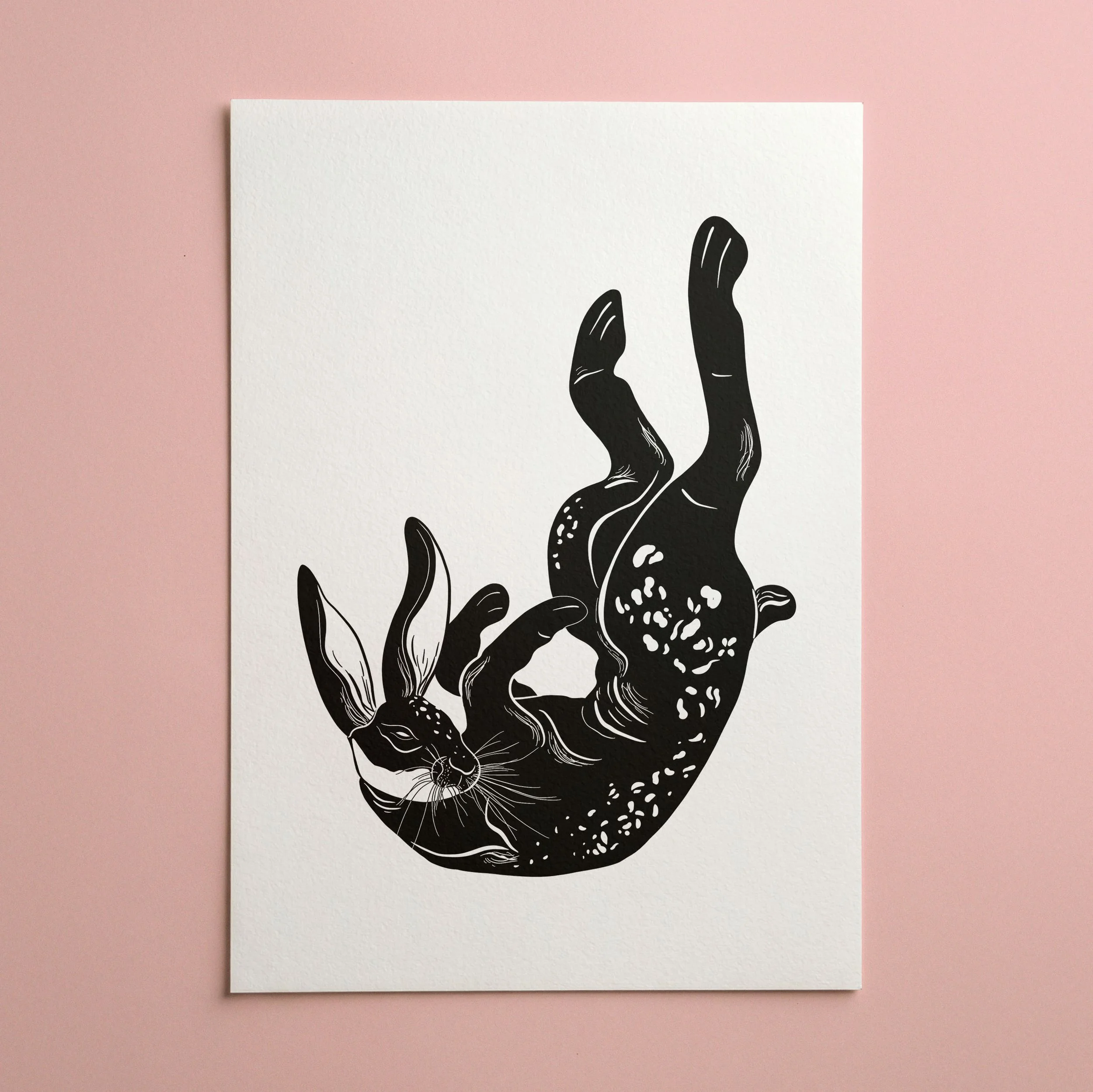 Lapin noir.jpg