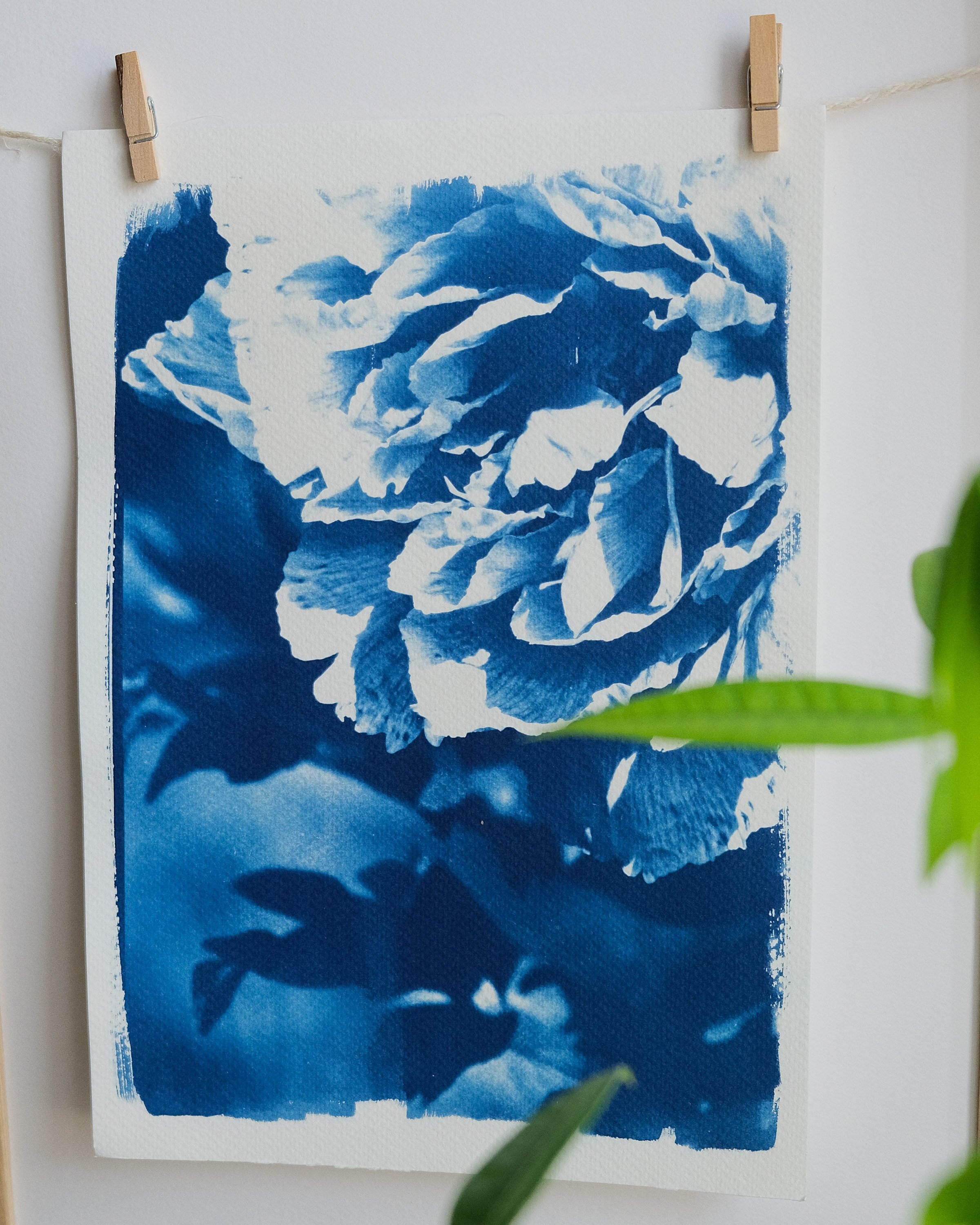Une peinture en Bleu et blanc représentant une rose