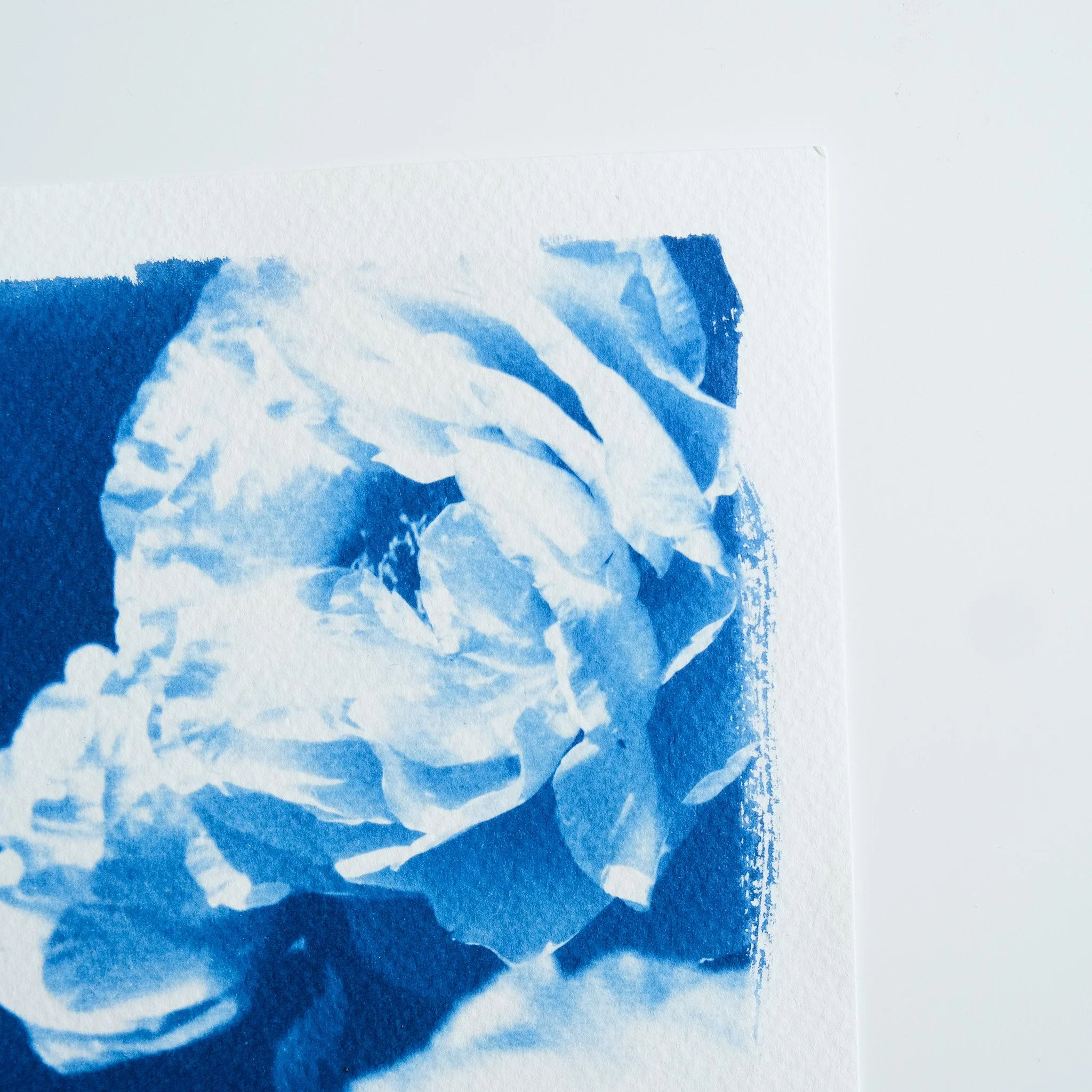 Détail d'une peinture ou impression artistique en bleu et blanc, représentant des formes abstraites de fleurs ou de nature.