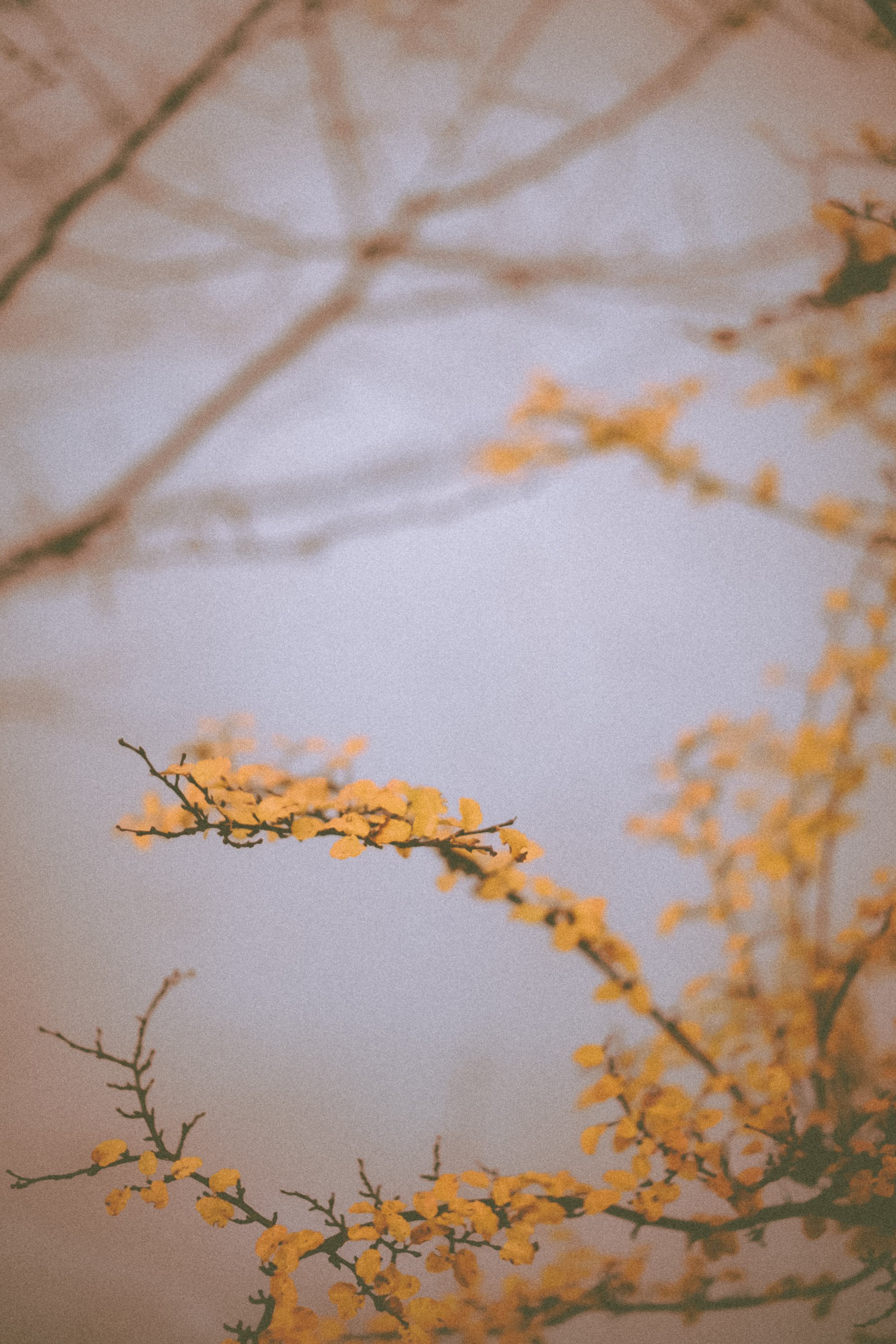 DSCF8579.jpg