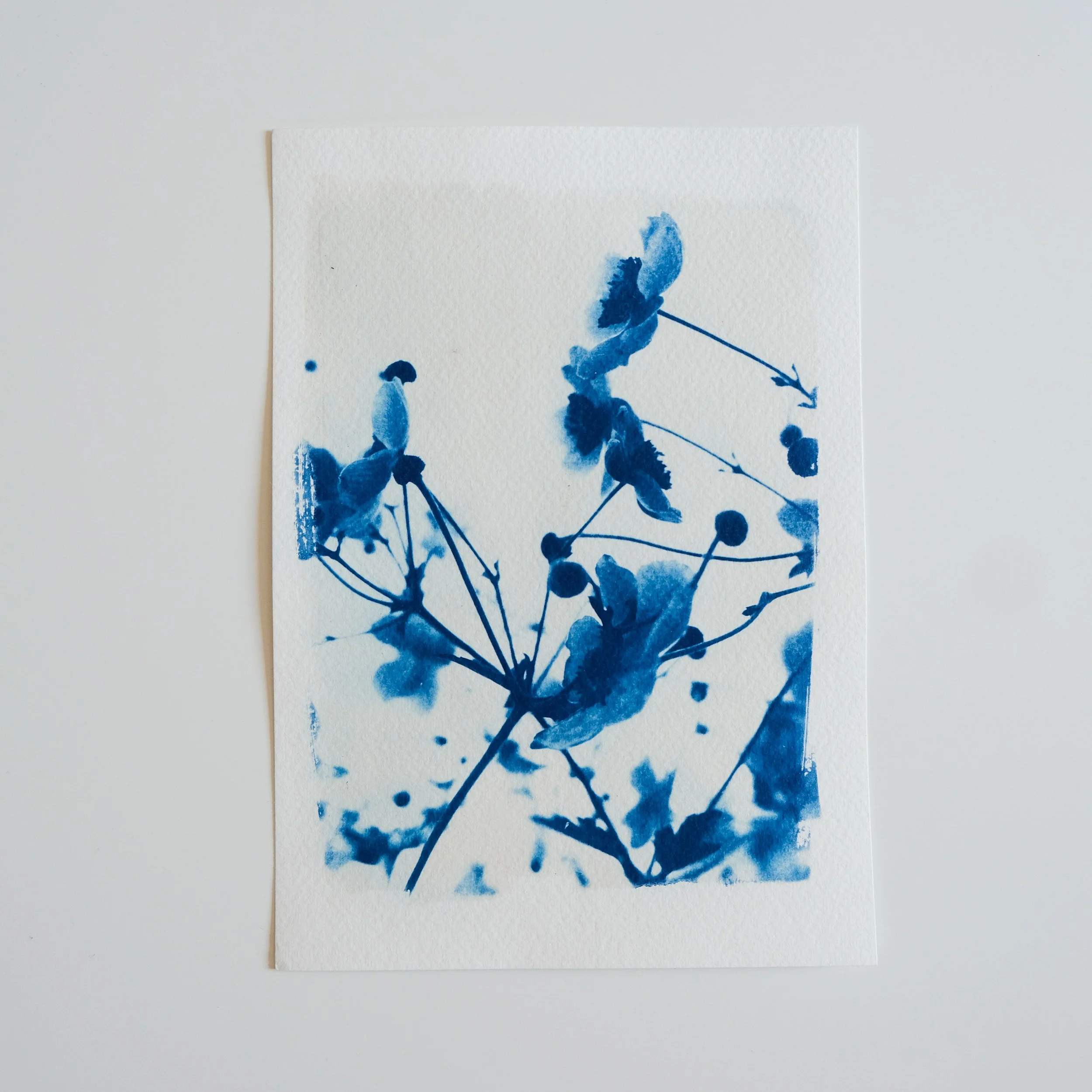 Peinture bleue représentant une branche ou un groupe de feuilles sur une feuille de papier blanc.