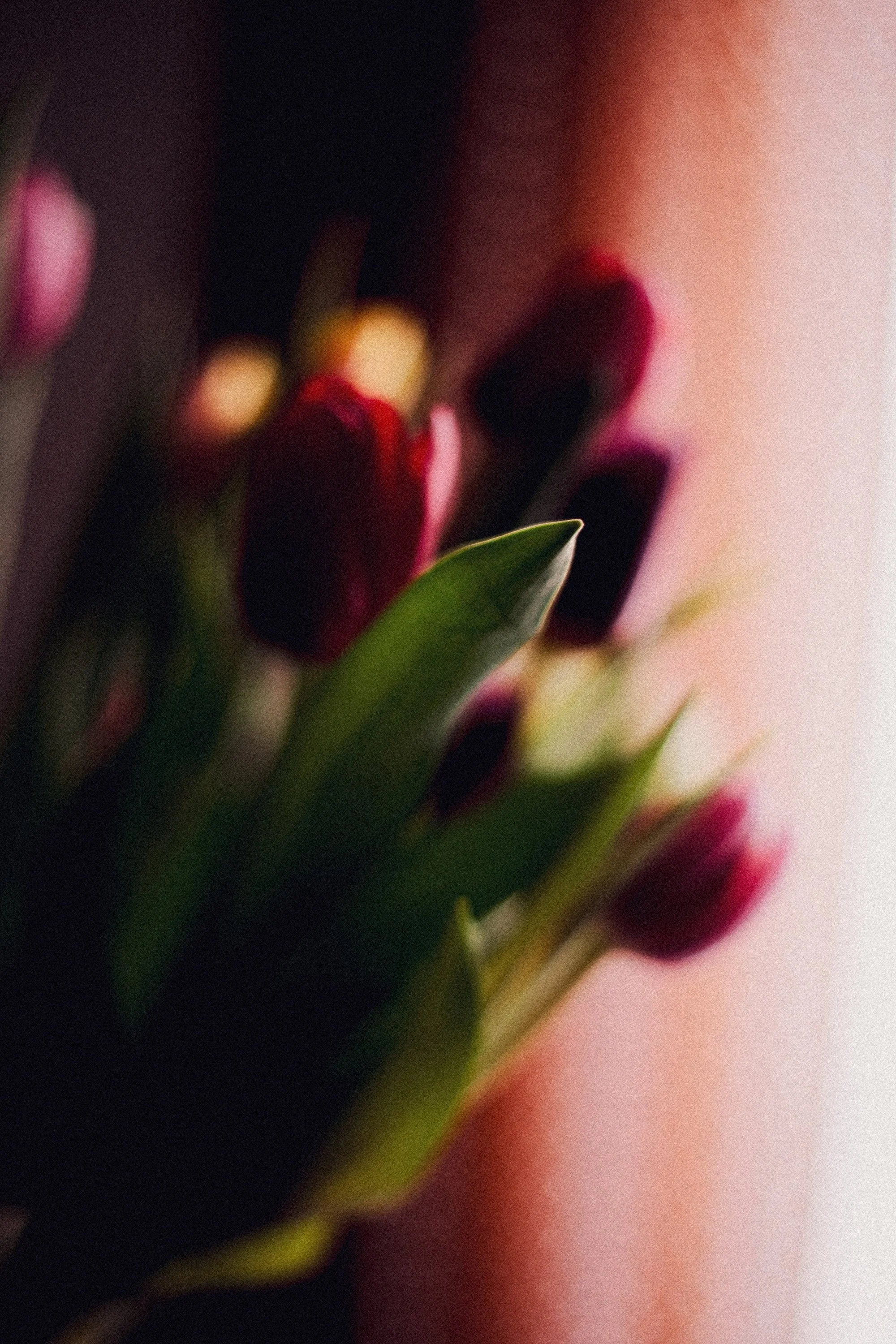 Fleurs
