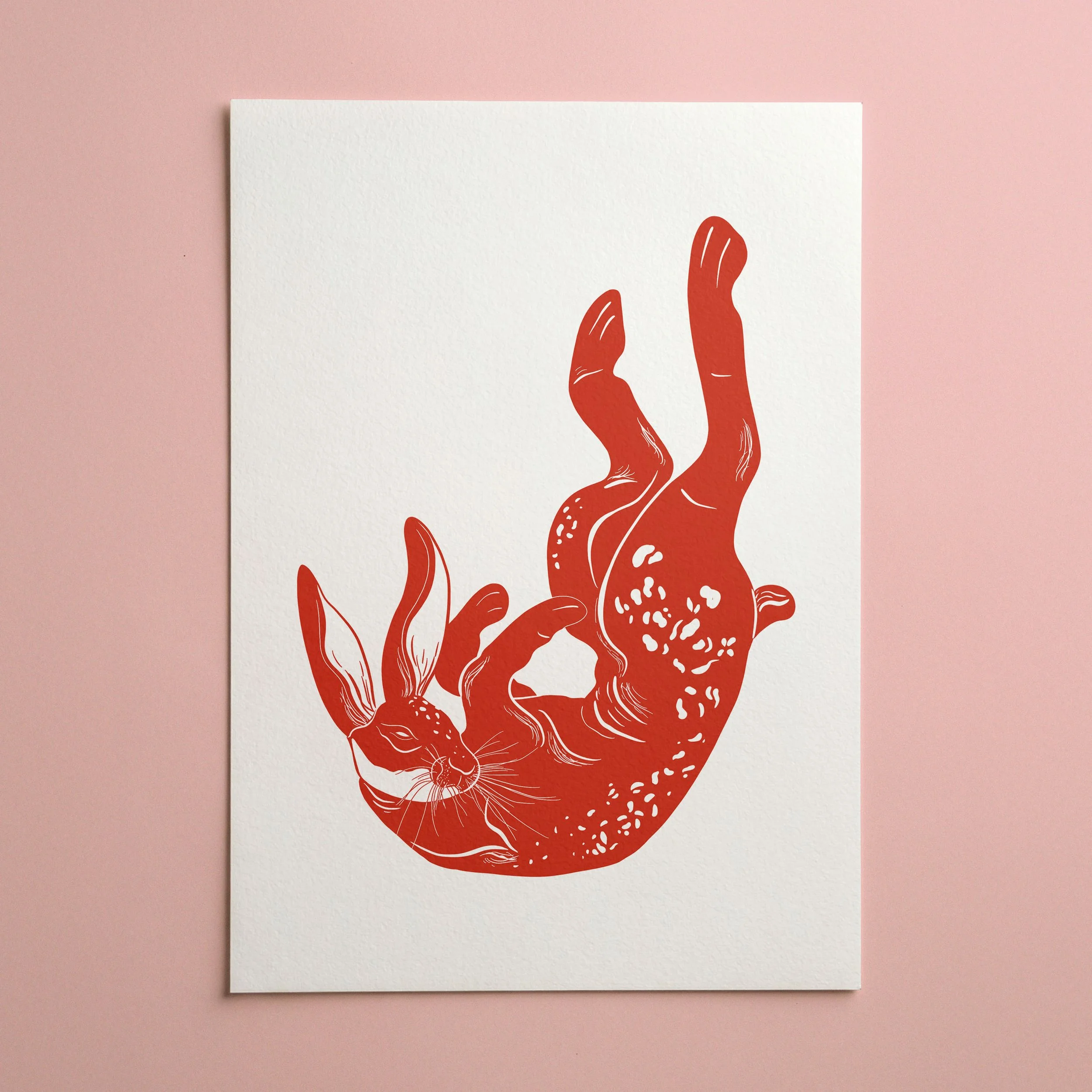lapin rouge.jpg