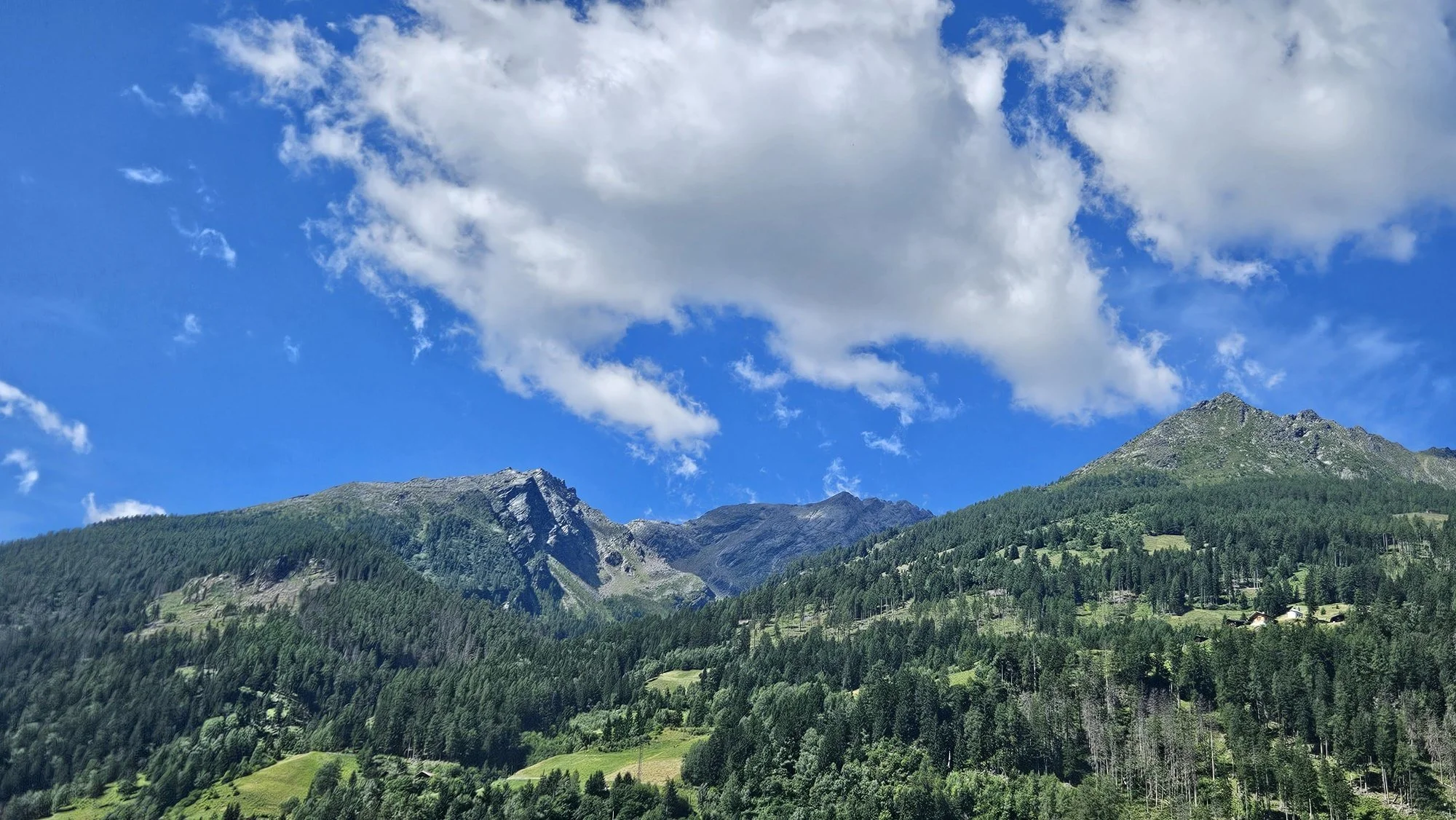 Blick auf die Berge vom Bergler aus