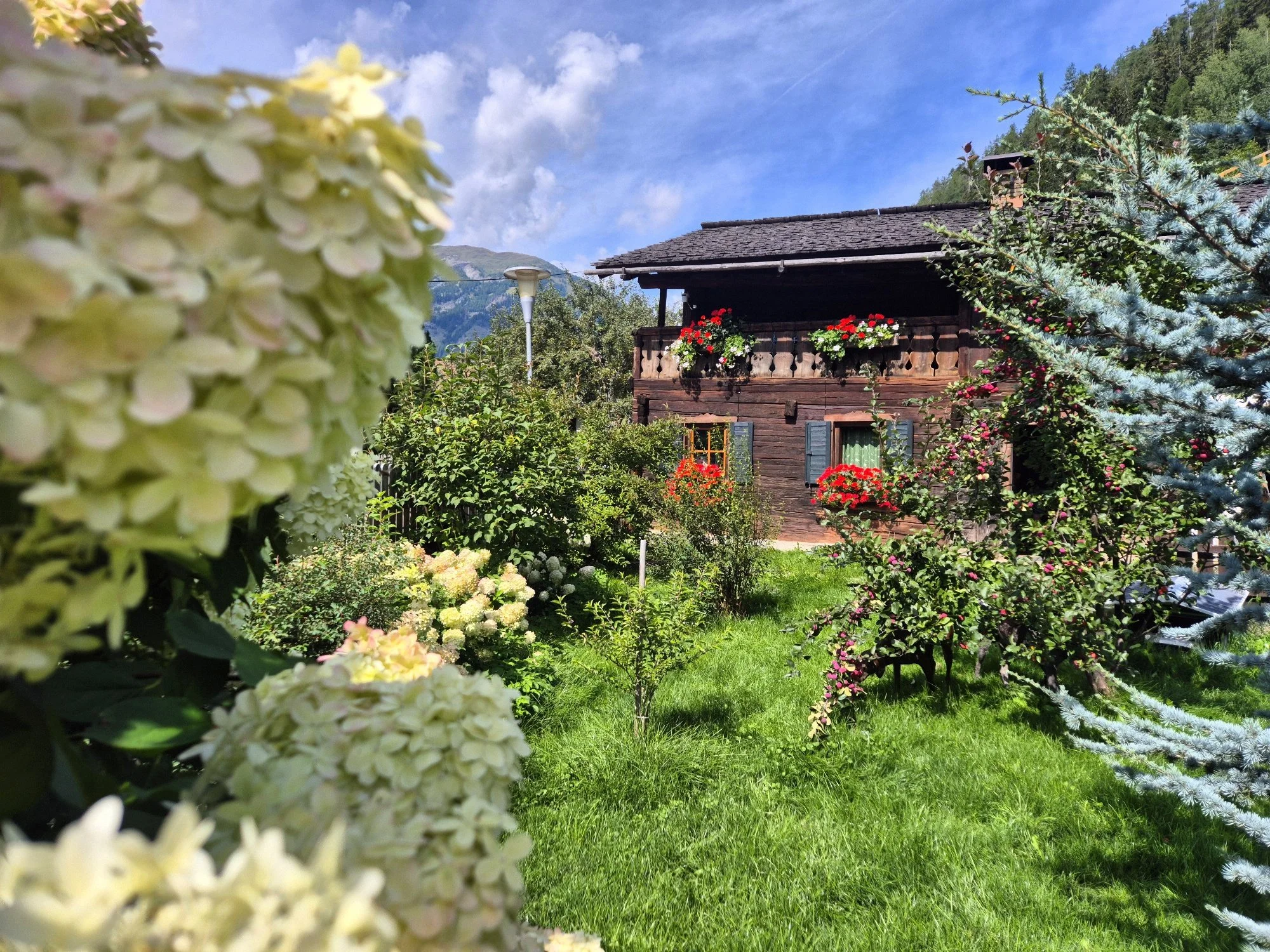 Ein Chalet in Döllach, Garten mit bunten Blumen, umgeben von Bäumen und Bergen, unter blauem Himmel.