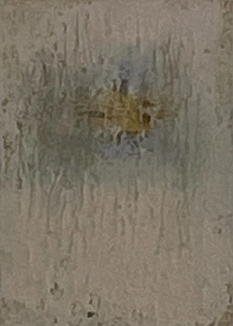 IMG_8446.jpeg