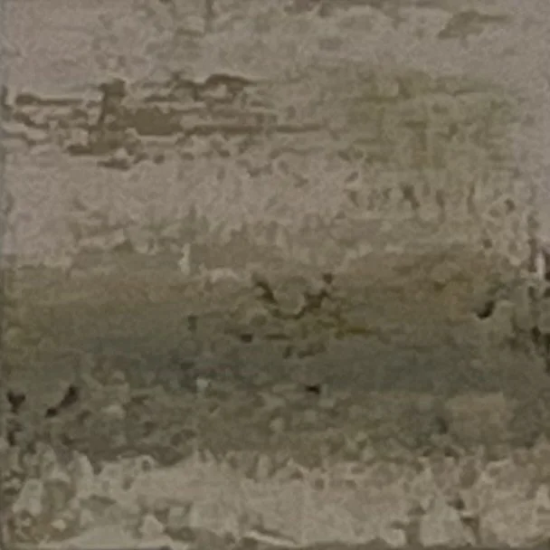 IMG_8439.jpeg