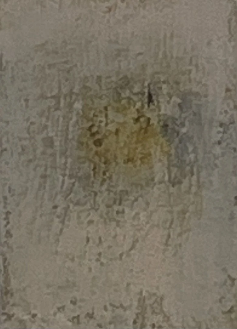 IMG_8443.jpeg