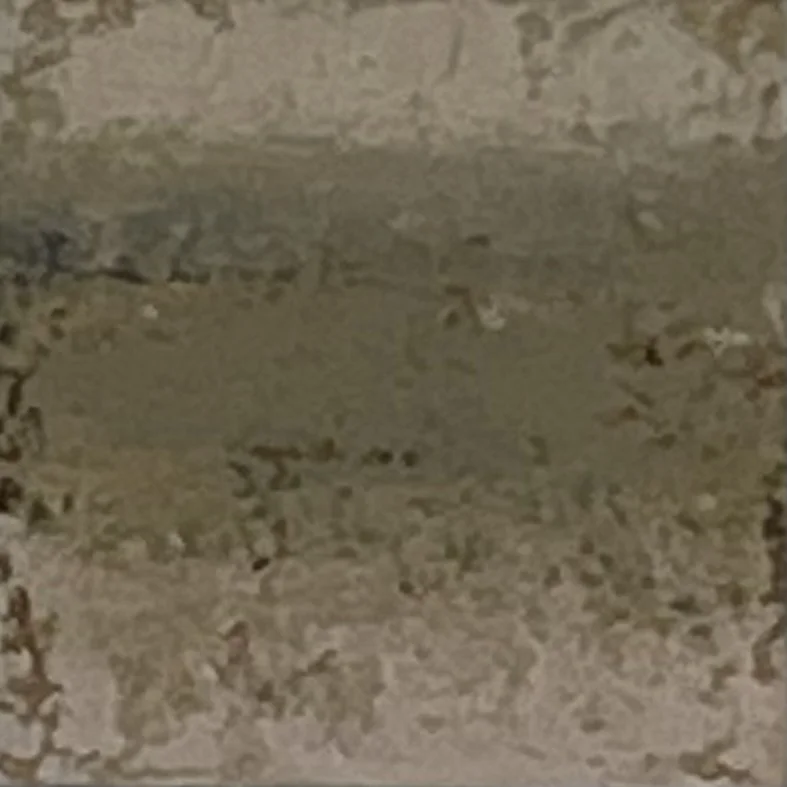 IMG_8442.jpeg