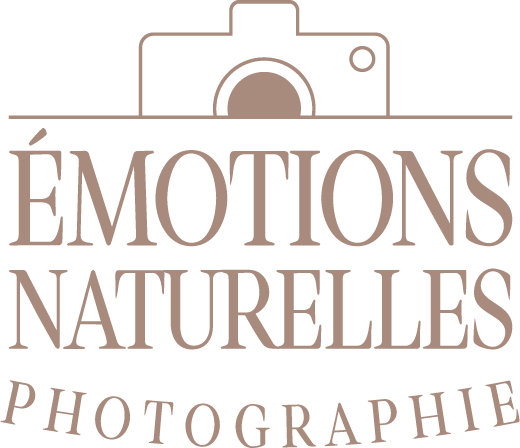 Titre de votre site