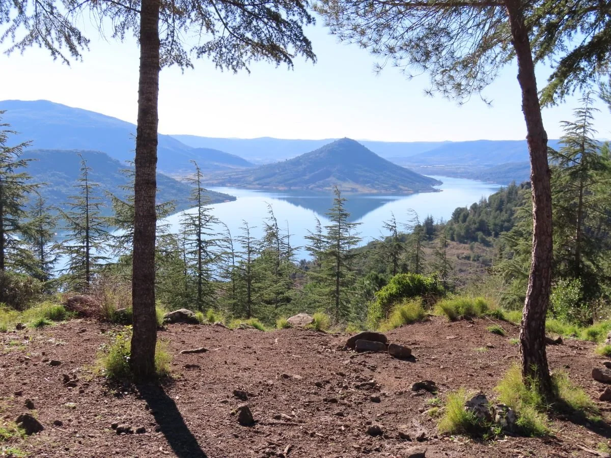 Vue d'un lac entouré de montagnes et de forêt dense, vue depuis une zone boisée isolée.