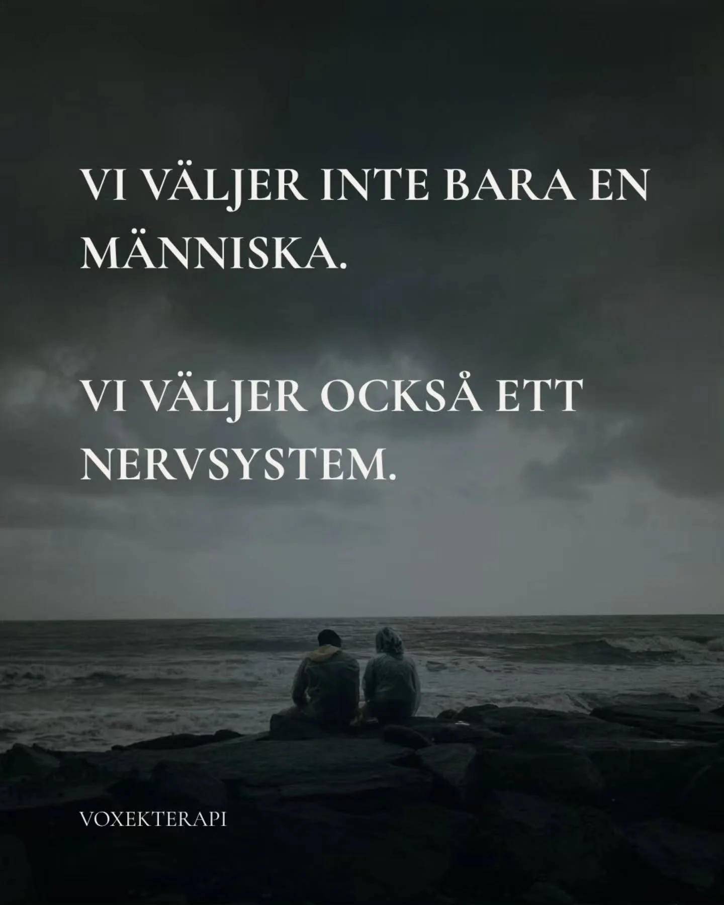 N&auml;r vi v&auml;ljer en partner v&auml;ljer vi inte bara en personlighet, ett utseende eller n&aring;gon att dela vardagen med.

Vi v&auml;ljer ocks&aring;, medvetet eller omedvetet, ett nervsystem att leva n&auml;ra.

Ett s&auml;tt att reagera p&