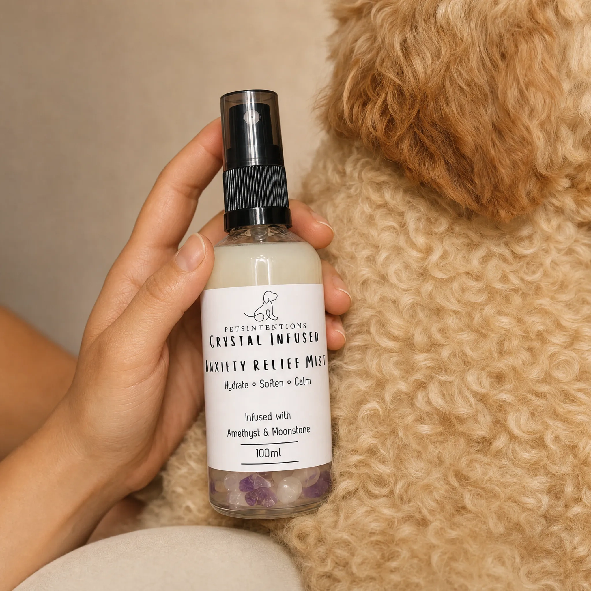 Petsintentions_Photoshoot_2026-07-19_1x.png