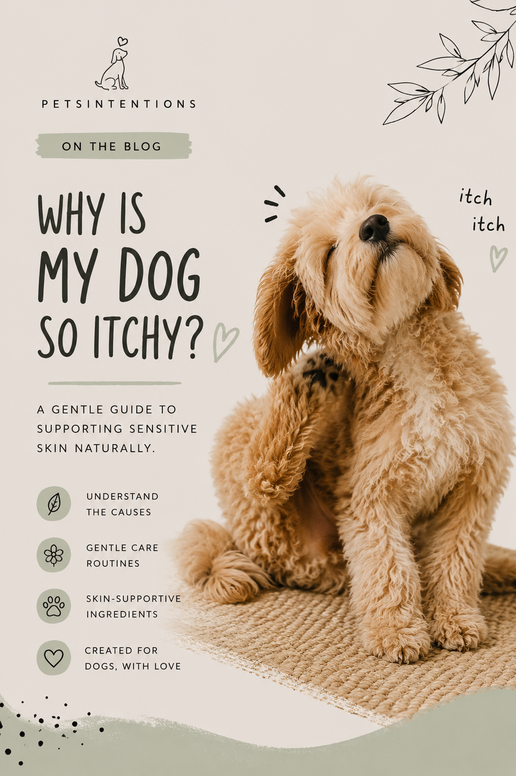 Why Is My Dog So Itchy? A Gentle Guide to Supporting Sensitive Skin