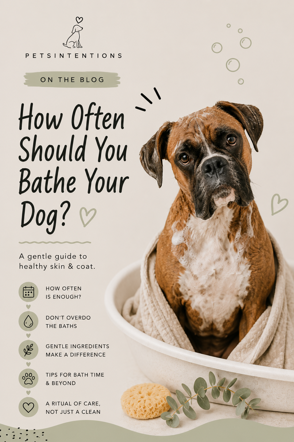 How Often Should You Bathe Your Dog? A Gentle Guide to Healthy Skin &amp; Coat