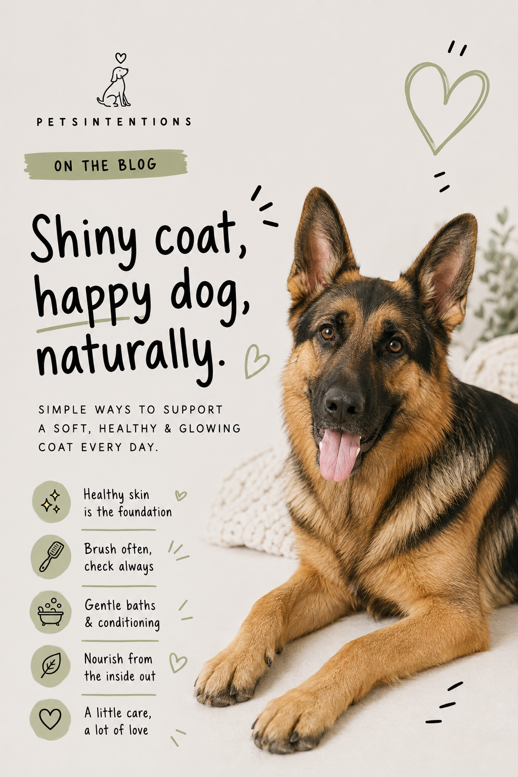 How to Keep Your Dog’s Coat Soft, Shiny &amp; Healthy Naturally