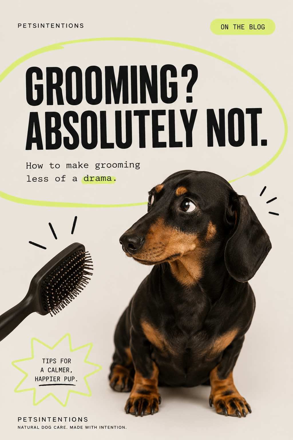 Does Your Dog Hate Grooming? How to Create a Calmer Grooming Routine