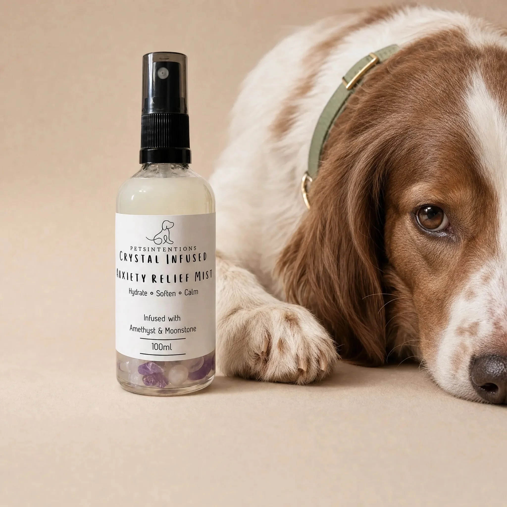 Create a peaceful, intentional moment in your dog&rsquo;s everyday routine with the Petsintentions Crystal Infused Calming &amp; Skin Mist &mdash; a lightweight botanical dog mist created for gentle coat conditioning, skin hydration and calming groom