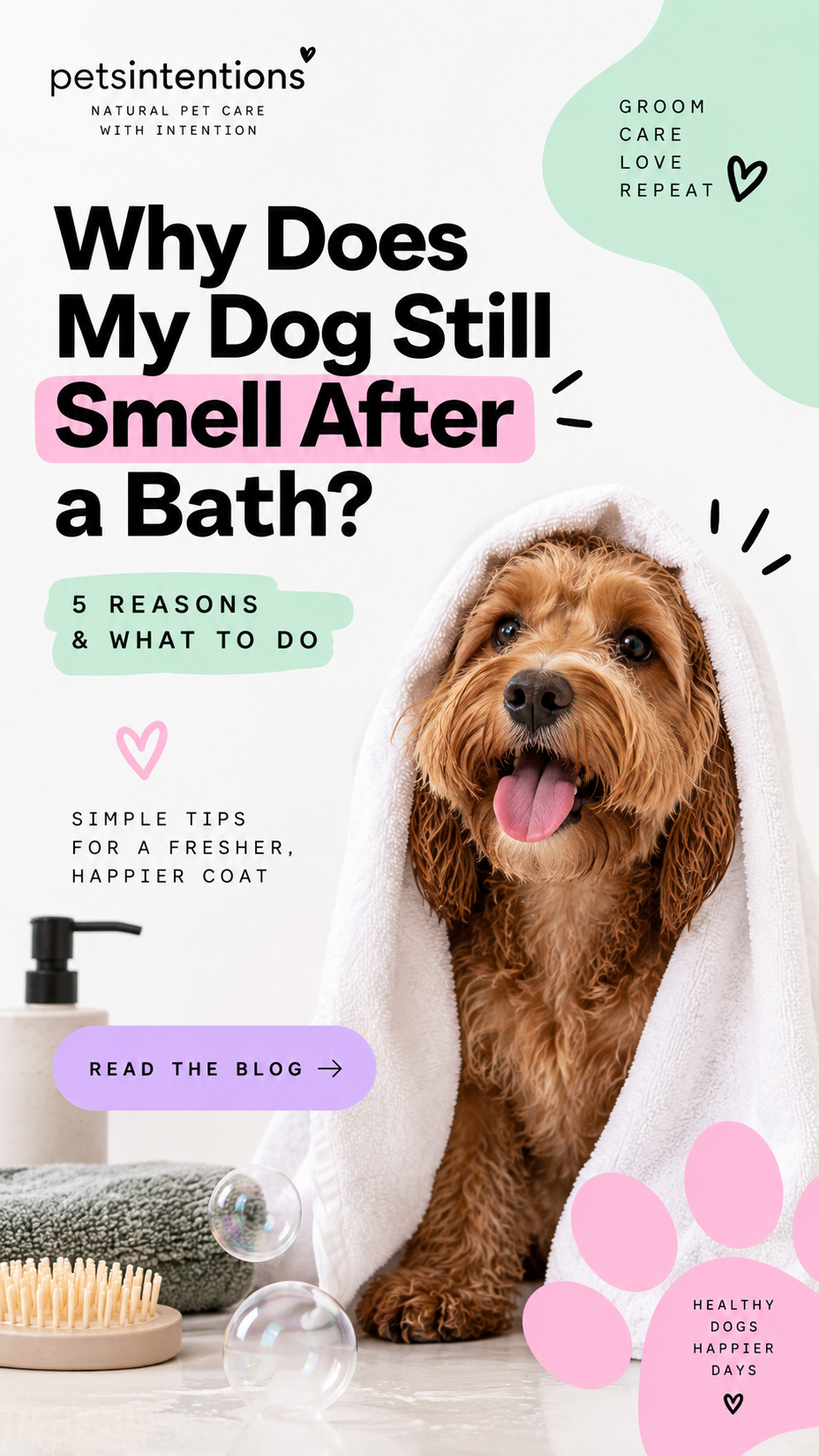 Why Does My Dog Still Smell After a Bath? 5 Reasons & What to Do