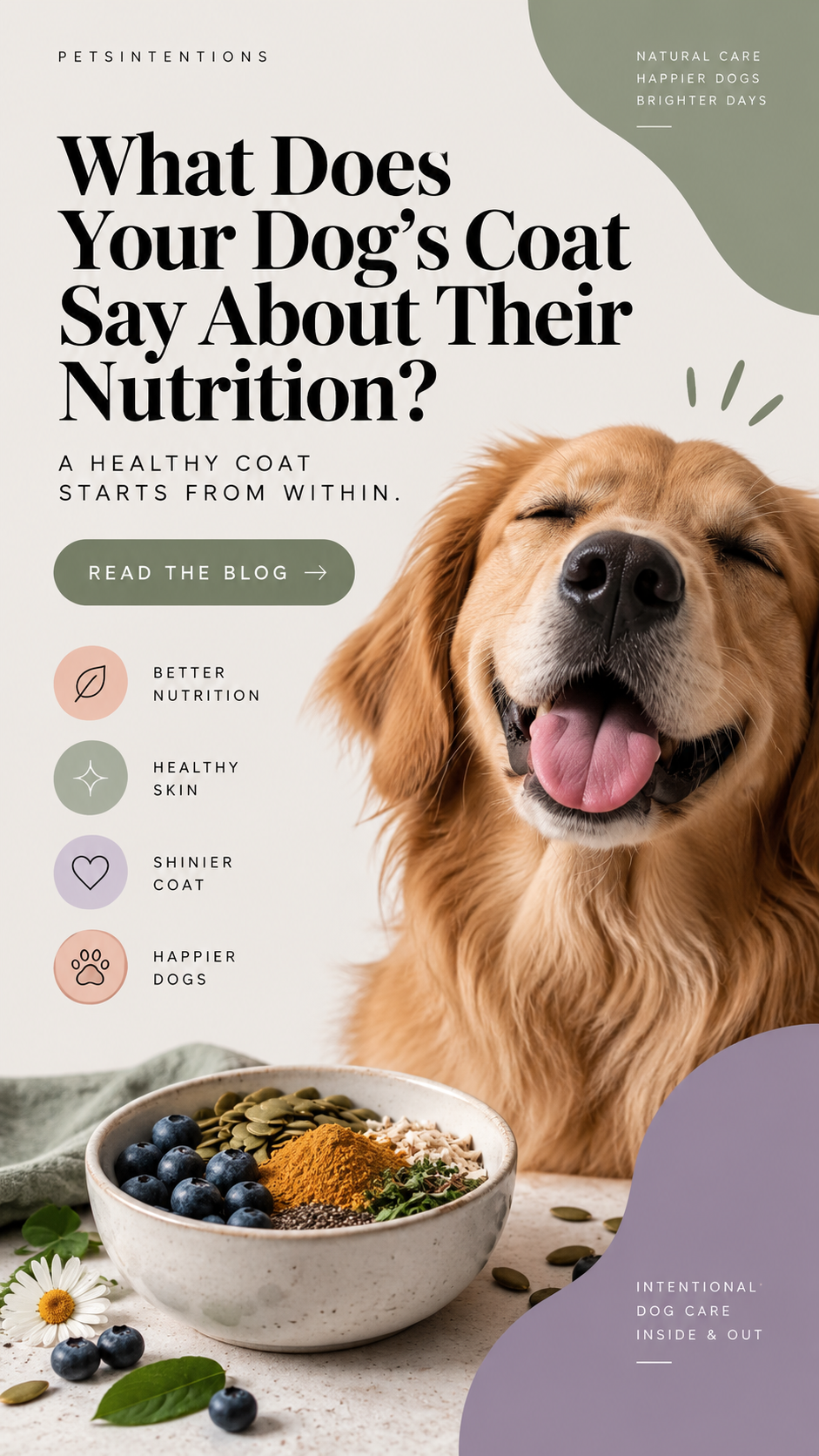 What Does Your Dog’s Coat Say About Their Nutrition?
