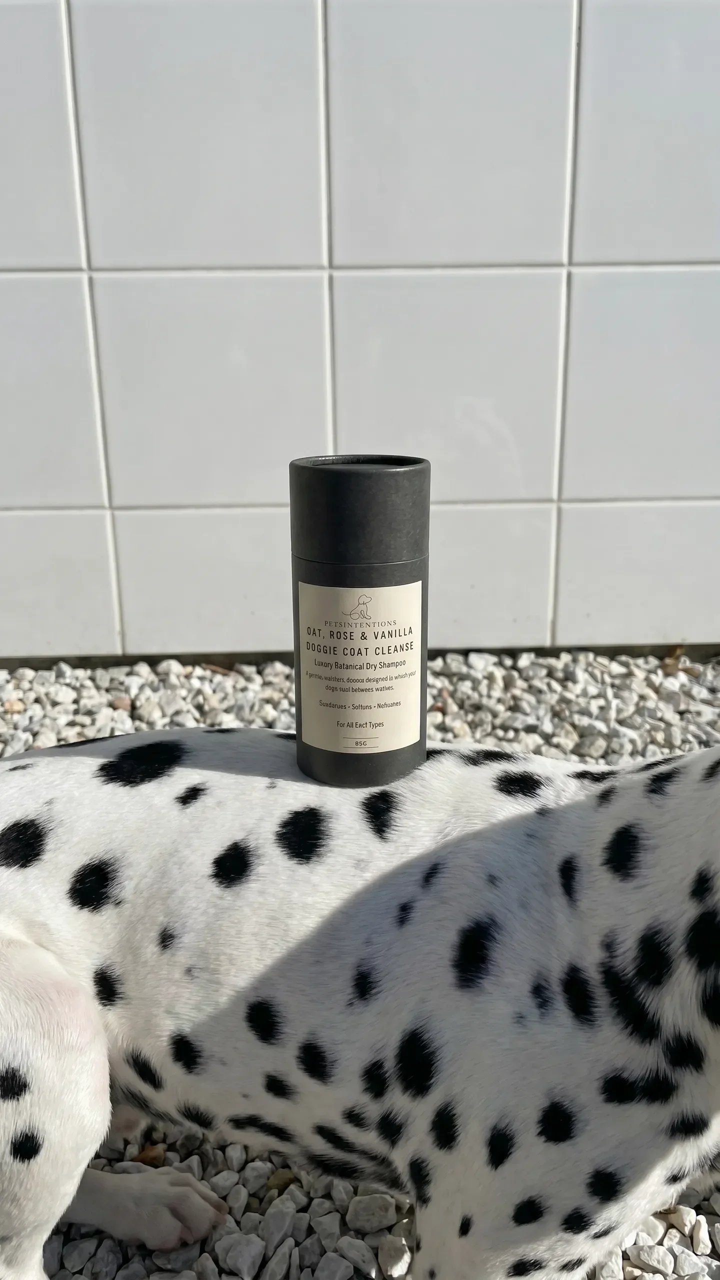 A Dalmatian dog lying on white gravel, with a black and white spotted coat, under a white tiled wall. In the background, there is a black container labeled "Pets Intentions Doggie Coat Cleanse".