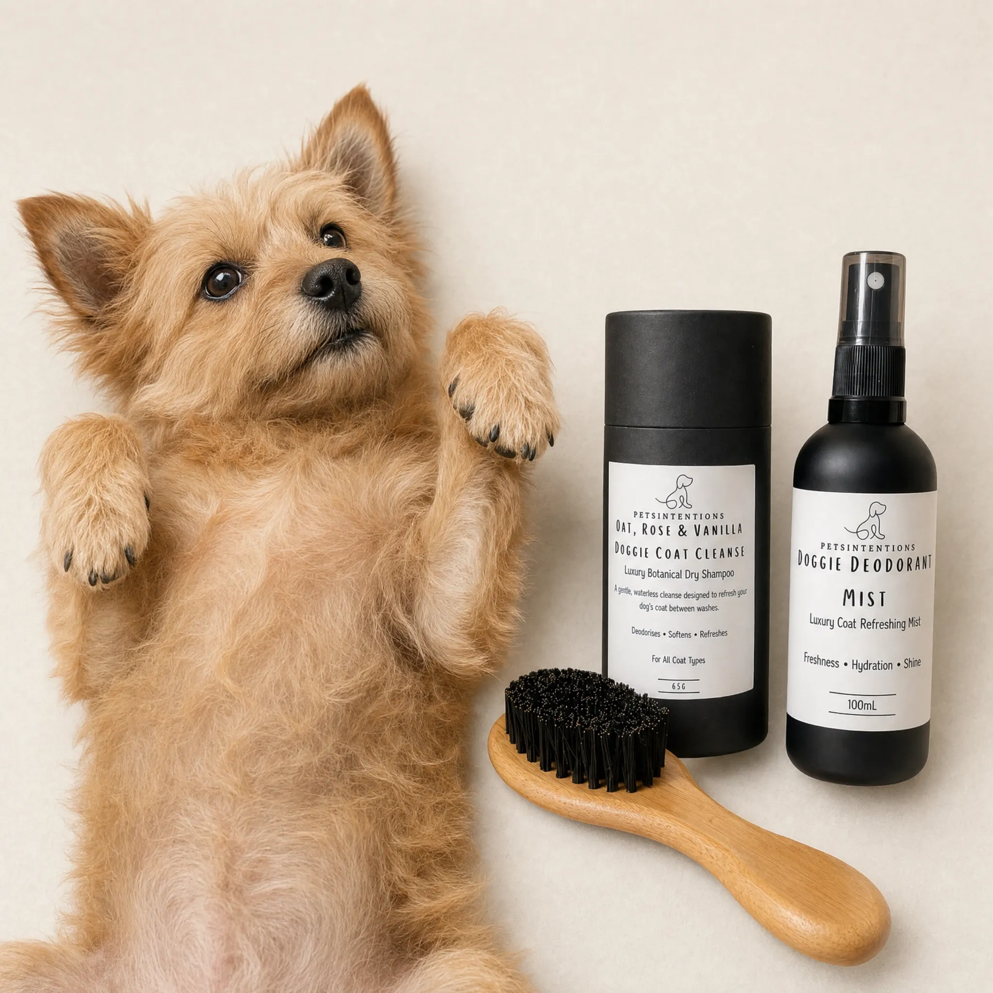 Close-up of a fluffy light brown dog with big dark eyes and a black nose, sitting next to grooming products including a black bottle, a spray bottle, and a wooden massage brush, all placed against a plain white background.