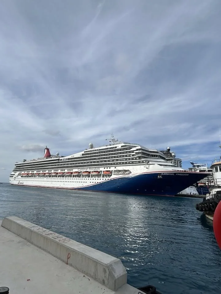 Large cruise ship docked at a port under a partly cloudy sky.