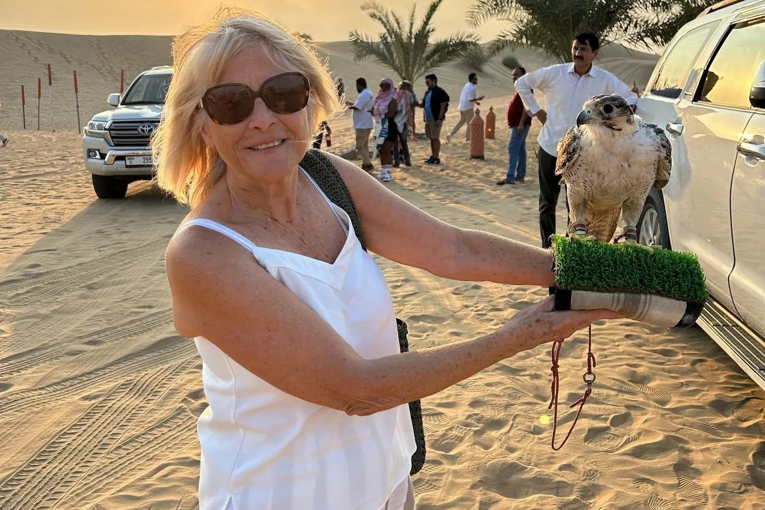 A smiling woman holding a falcon on a perch in a desert with people and SUVs in the background during sunset.