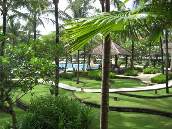 Tropical garden with palm trees, lush greenery, a thatched gazebo, a swimming pool in the background, and landscaped walkways.