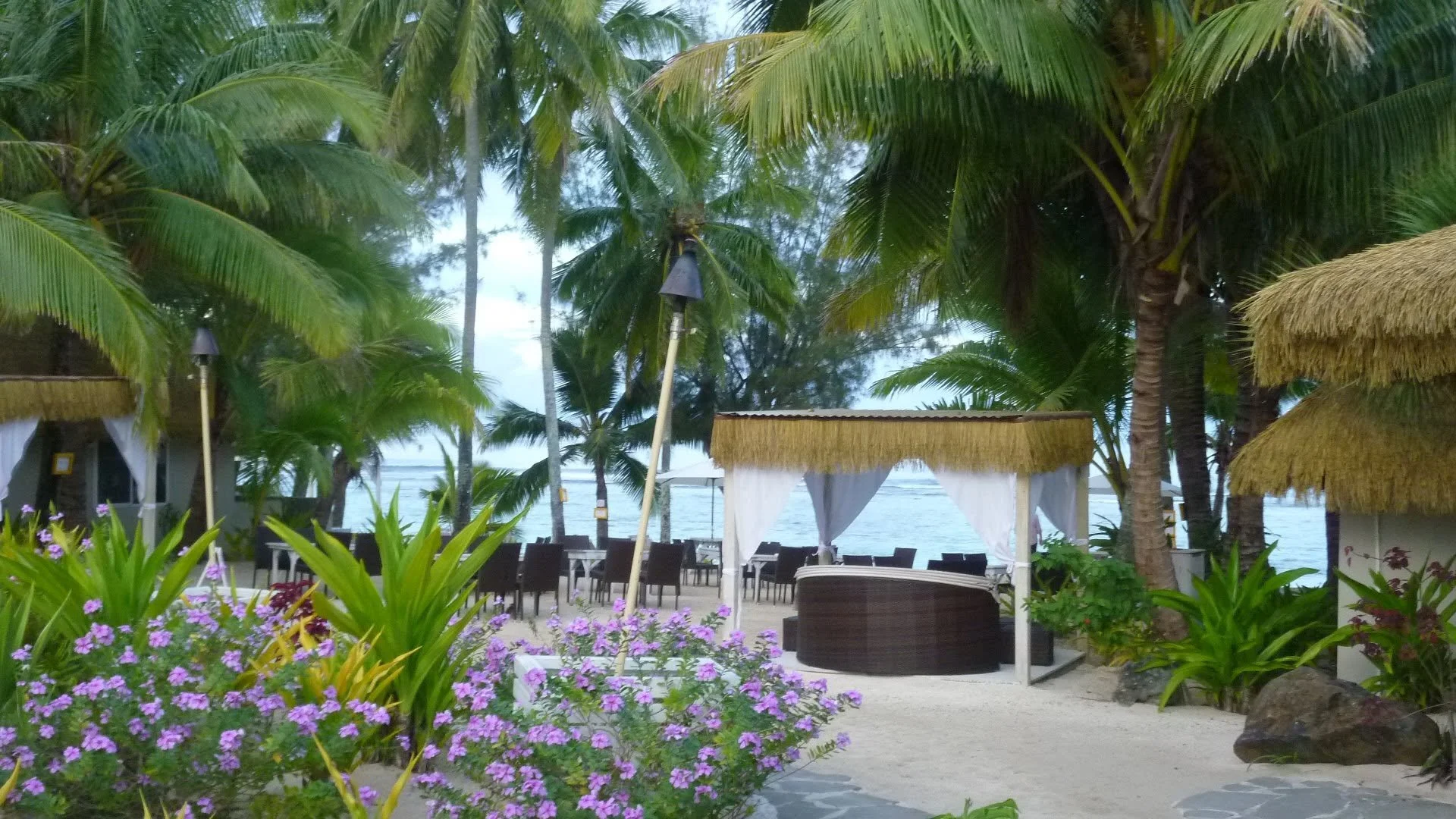 Beachside outdoor seating area with palm trees, umbrellas, and flowering plants.