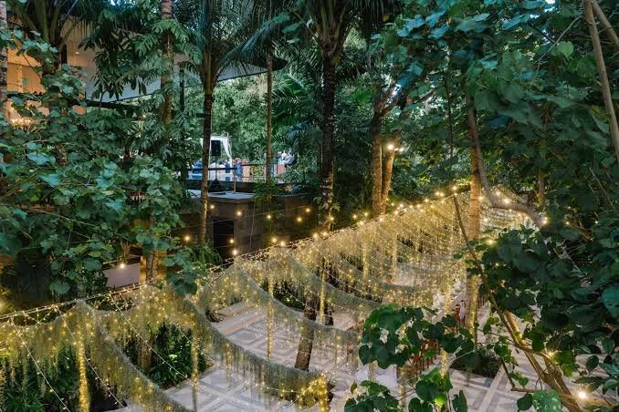 Outdoor garden area decorated with string lights and tinsel, surrounded by green trees and plants.