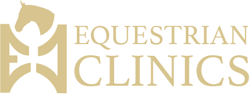 Equestrian Clinics (Copy)