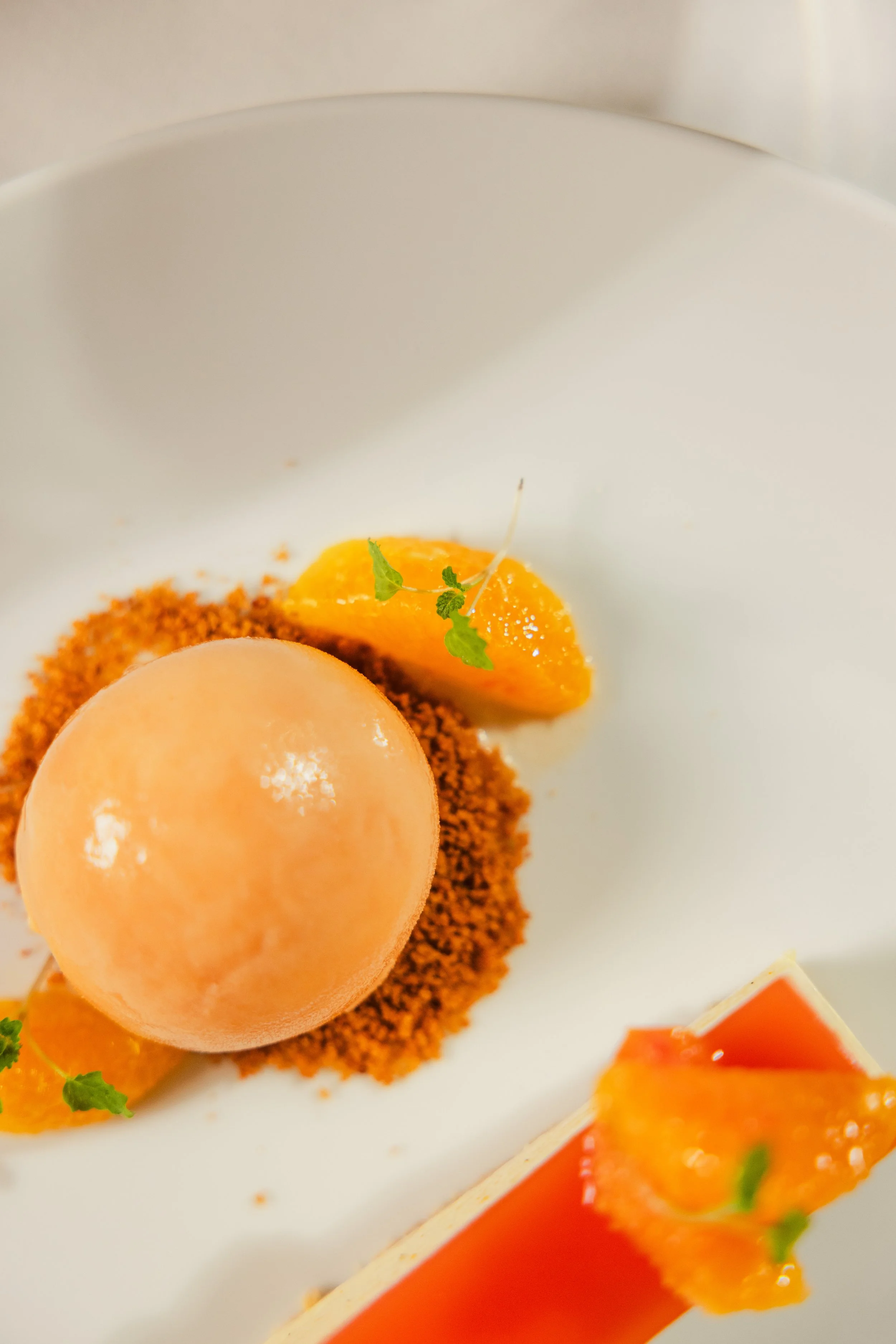 A dessert plate with a spherical peach mousse, garnished with a small green herb and a thin white twig, accompanied by a bright orange fruit segment with green herbs, and a rectangular piece of layered orange and red gelled dessert with green herbs o
