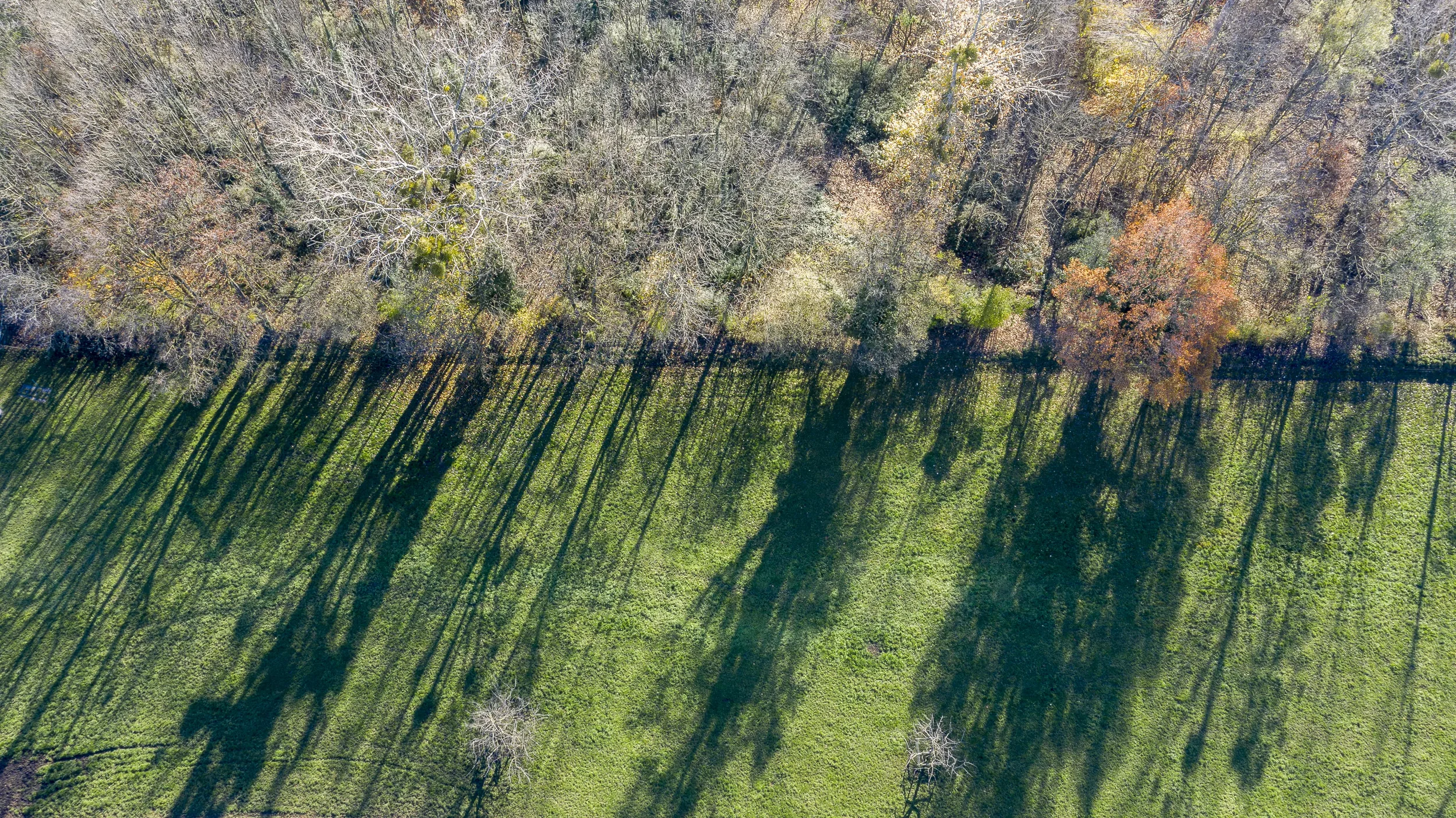 landschaft-und-natur-0443.webp