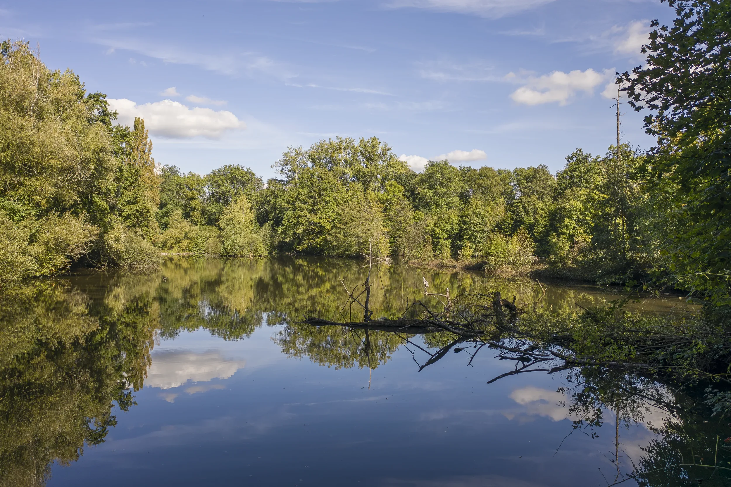landschaft-und-natur-0329.webp