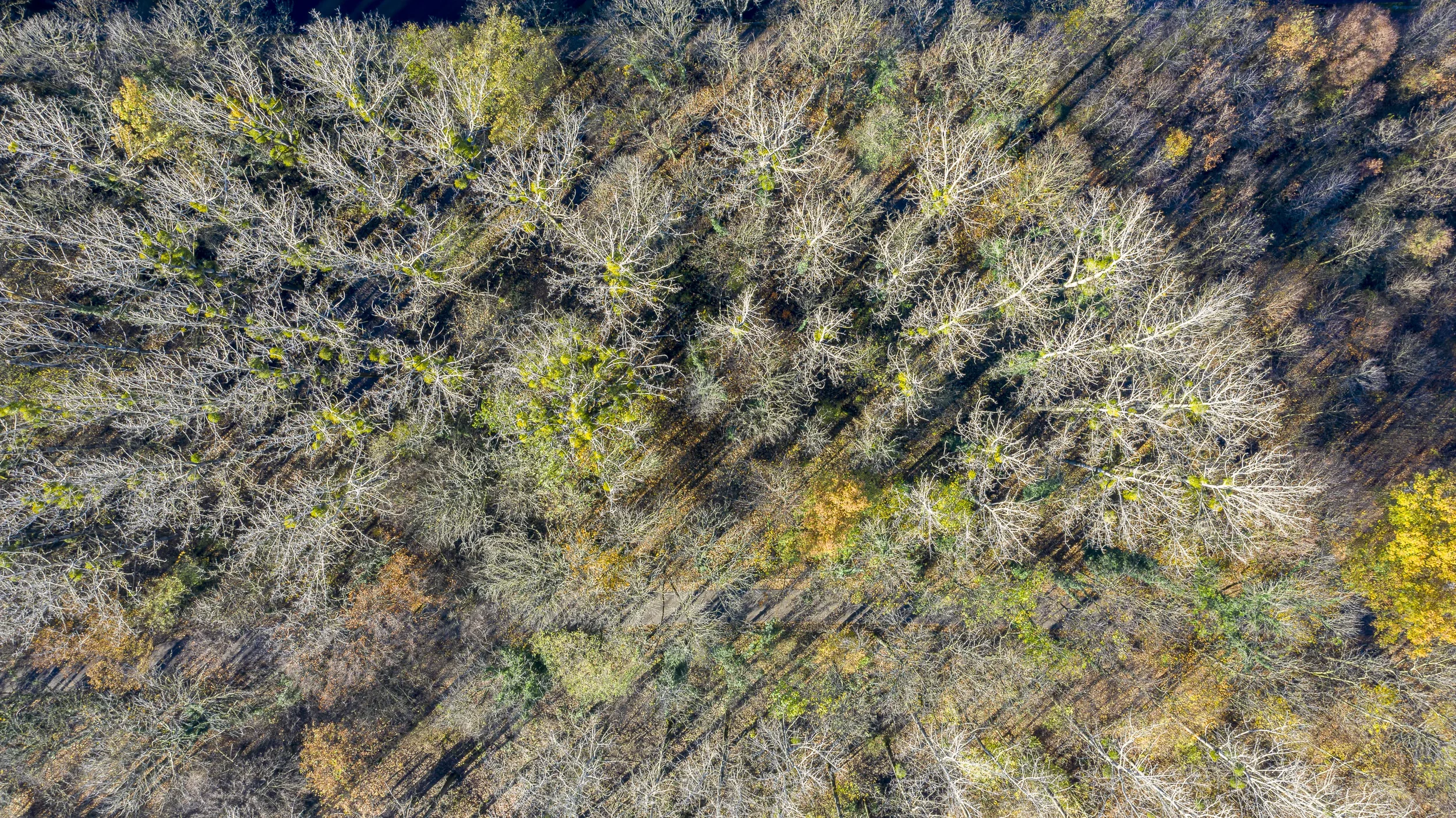landschaft-und-natur-0433.webp