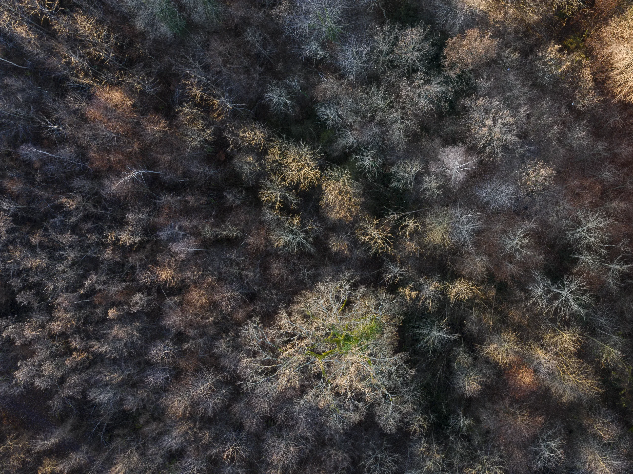 landschaft-und-natur-0261.webp