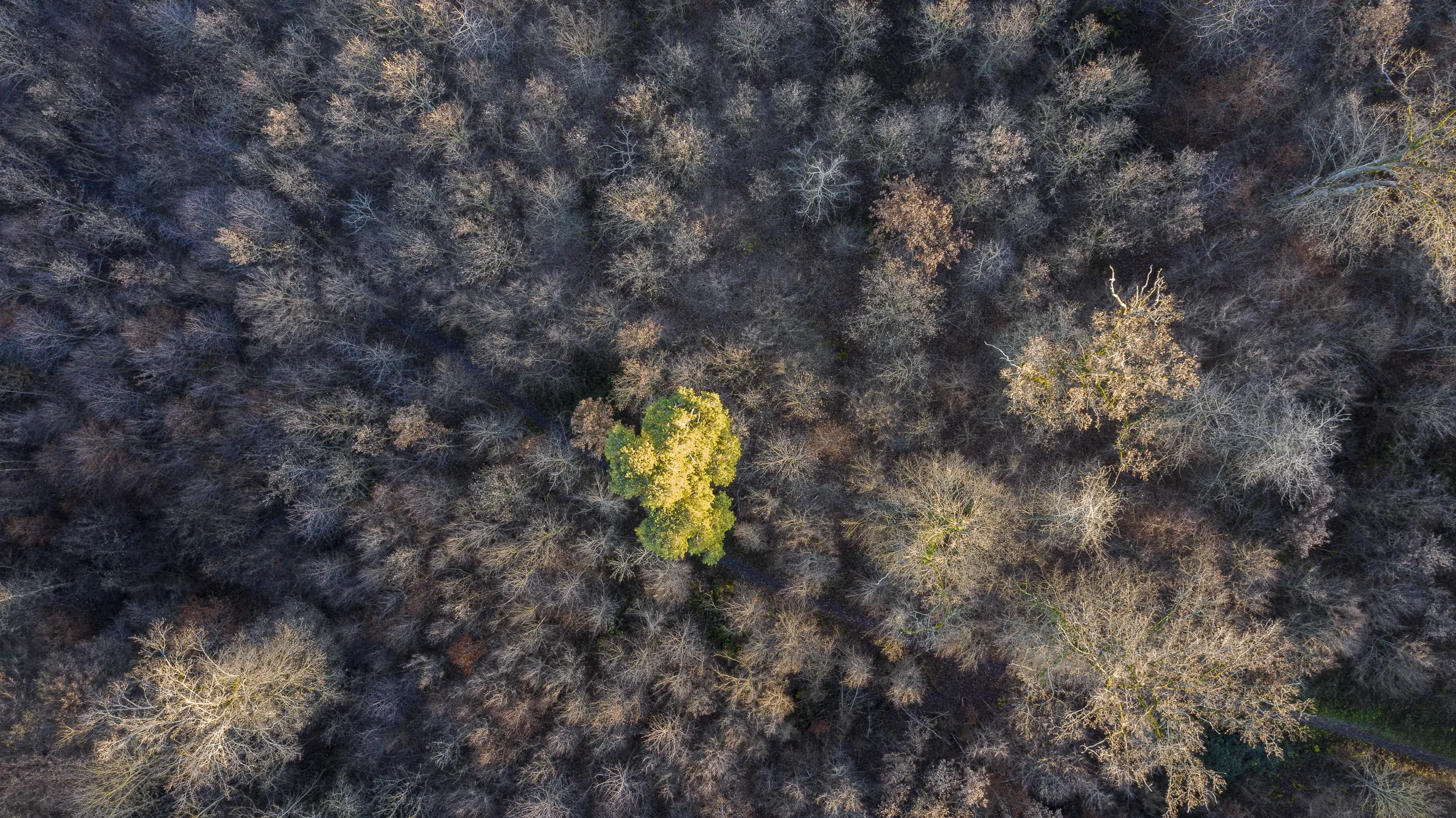 landschaft-und-natur-0224.webp