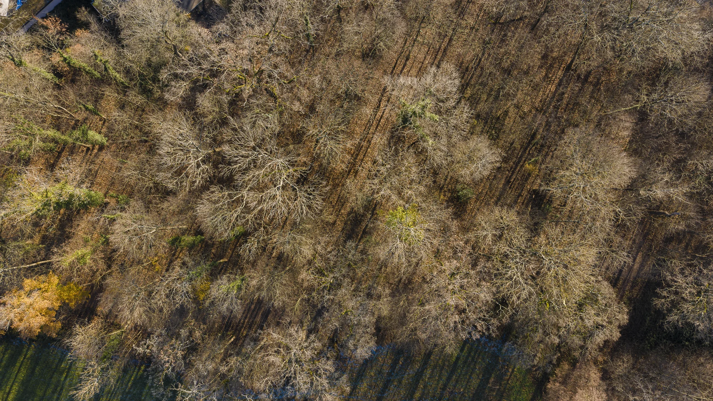 landschaft-und-natur-0022.webp