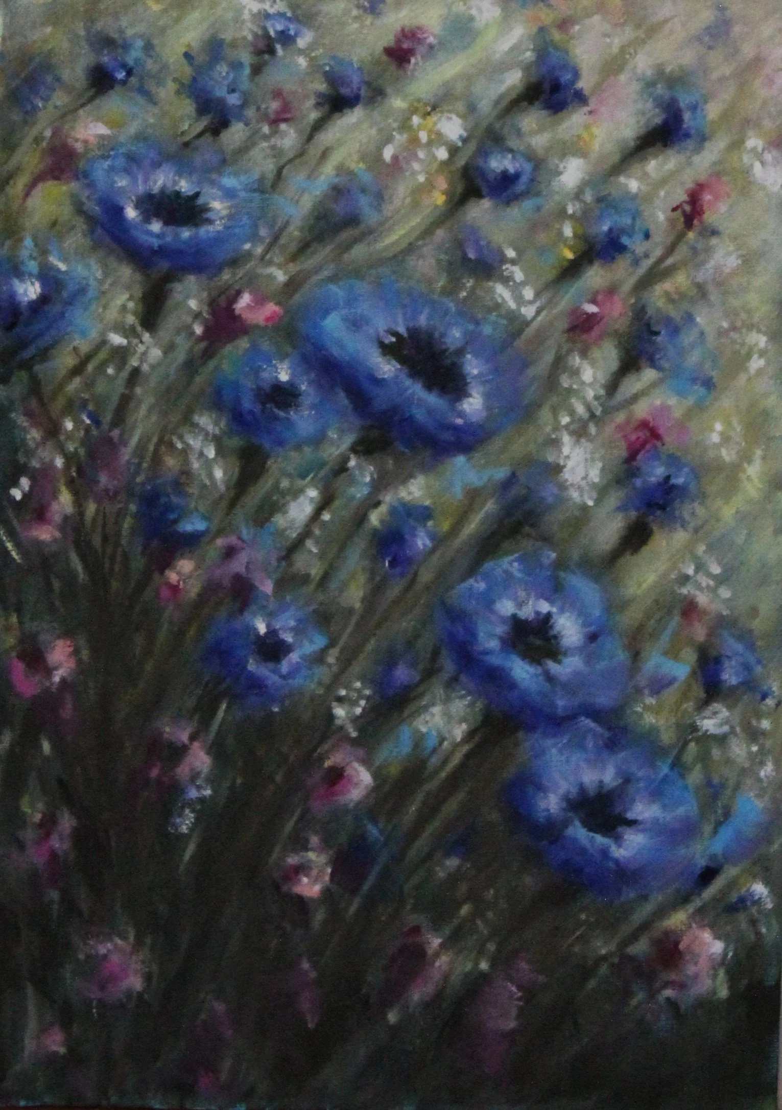 Cornflowers.JPG