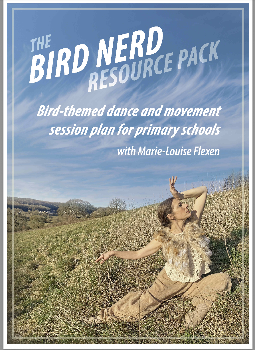 FREE Bird Themed Educational Resource Pack for Primary and SEND Schools