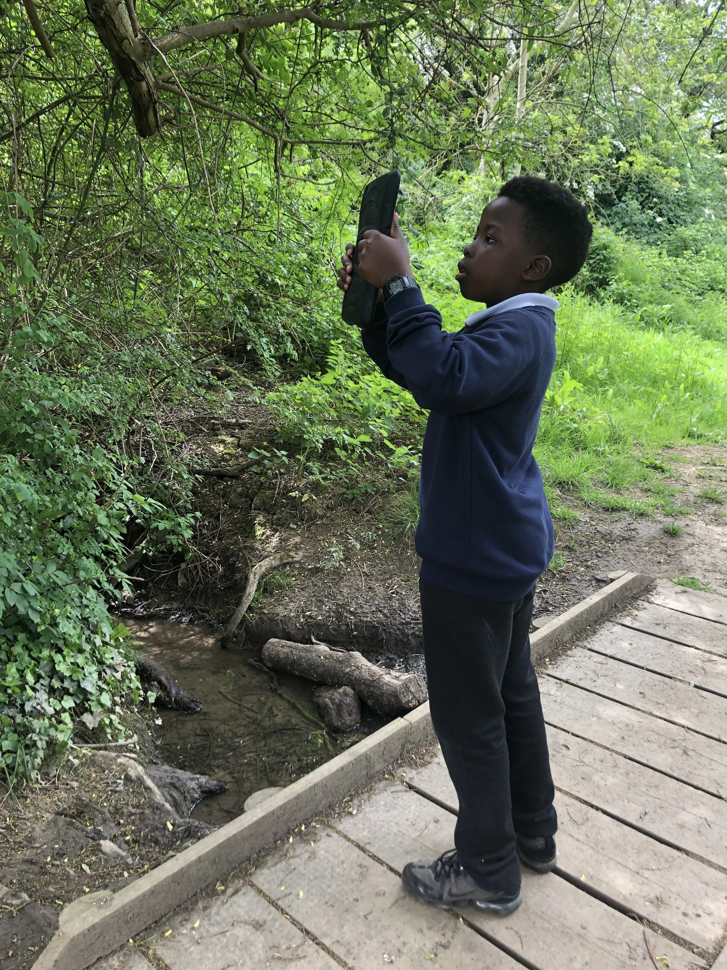 A young boy stands on a boardwalk holding a camera - concentrating as he takes a photo of some leaves.