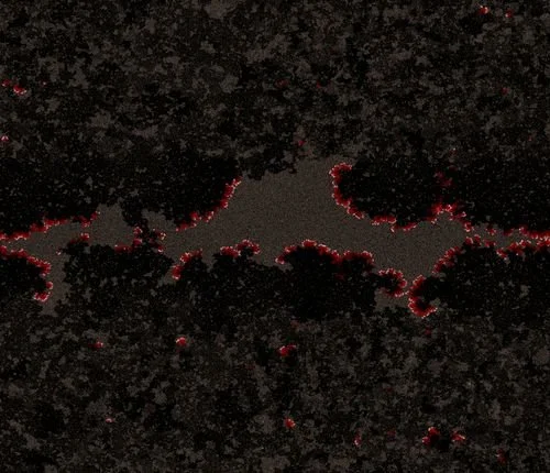Systems.Bricks.Hands. 3 artists on the anatomy of the city: systems, material and memories.