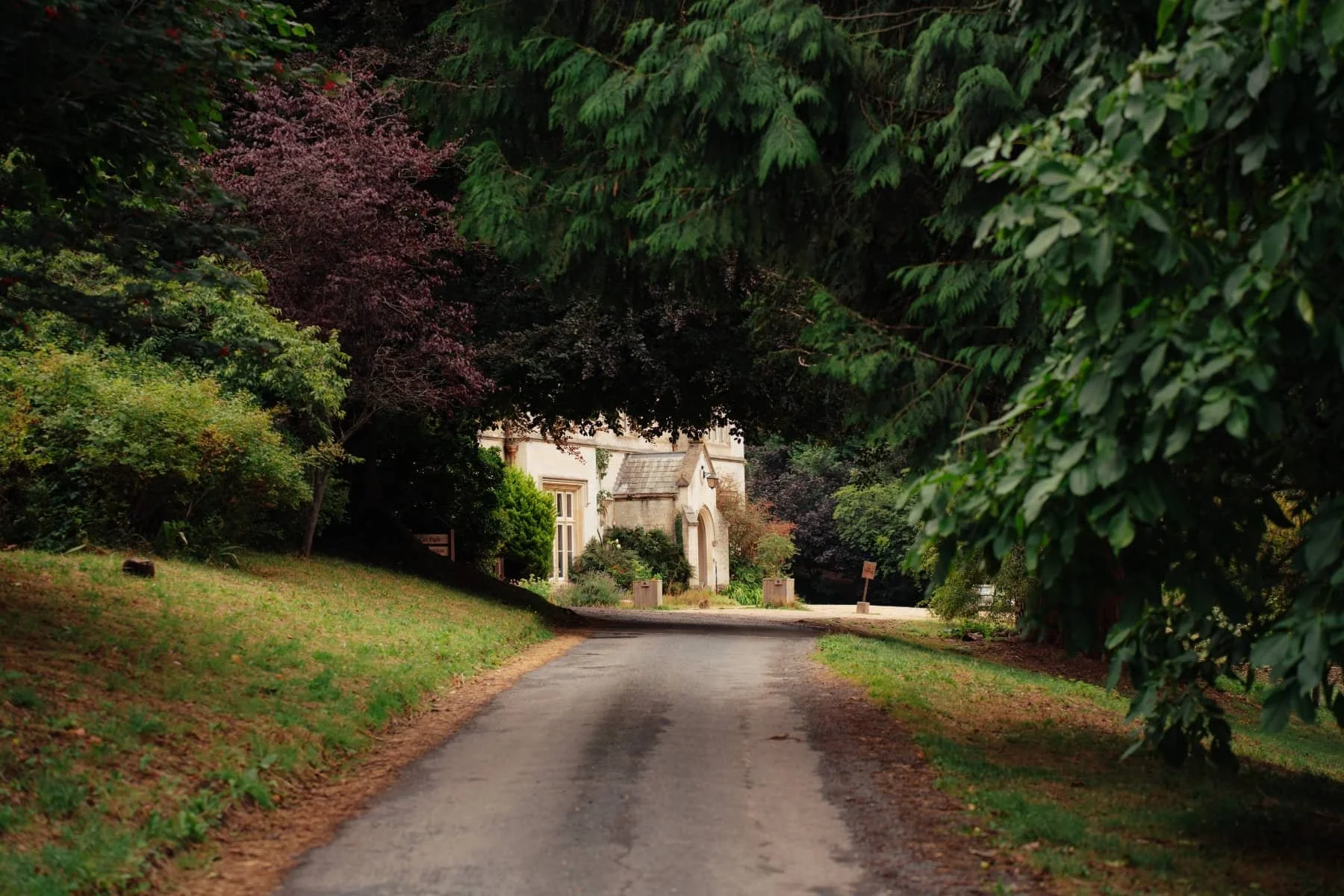 Hawkwood Building, framed by the foliage of green trees