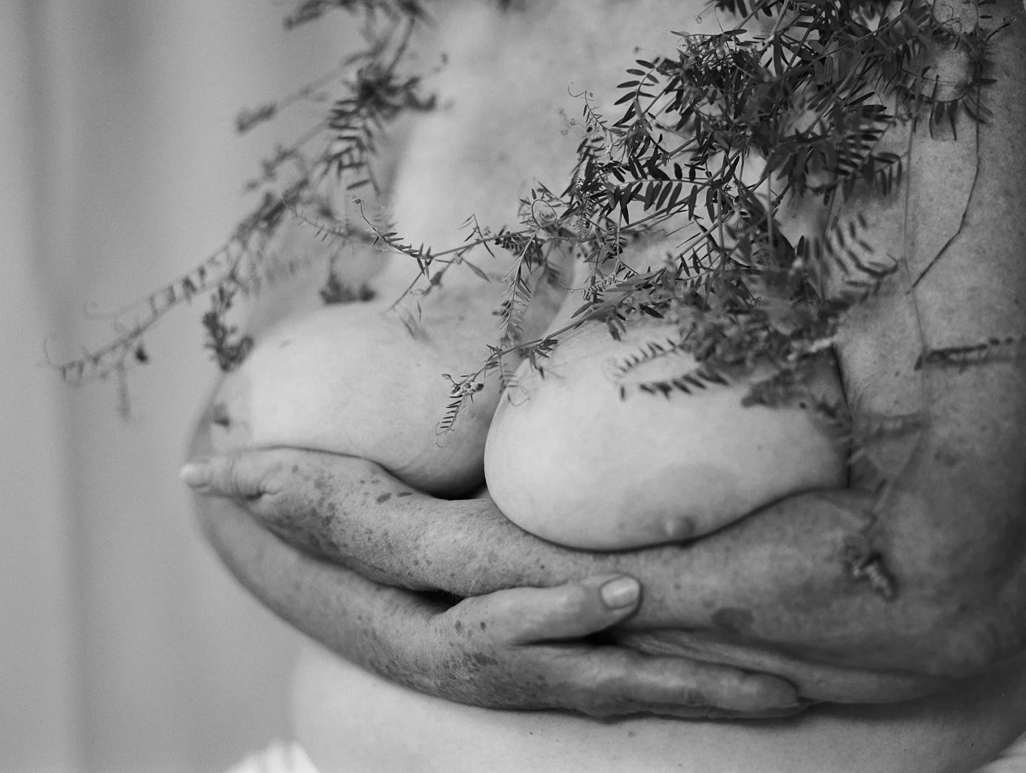 SiegridCainBoobsBlooms19-151xs.jpg