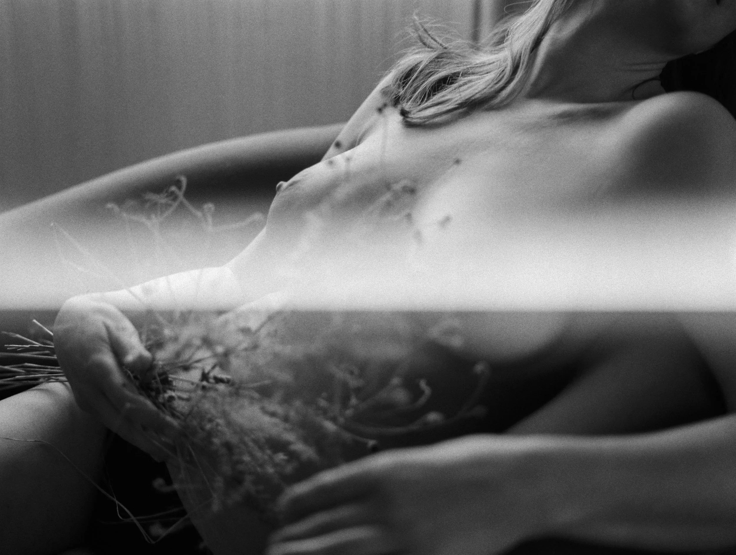 BOOBS &amp; BLOOMS