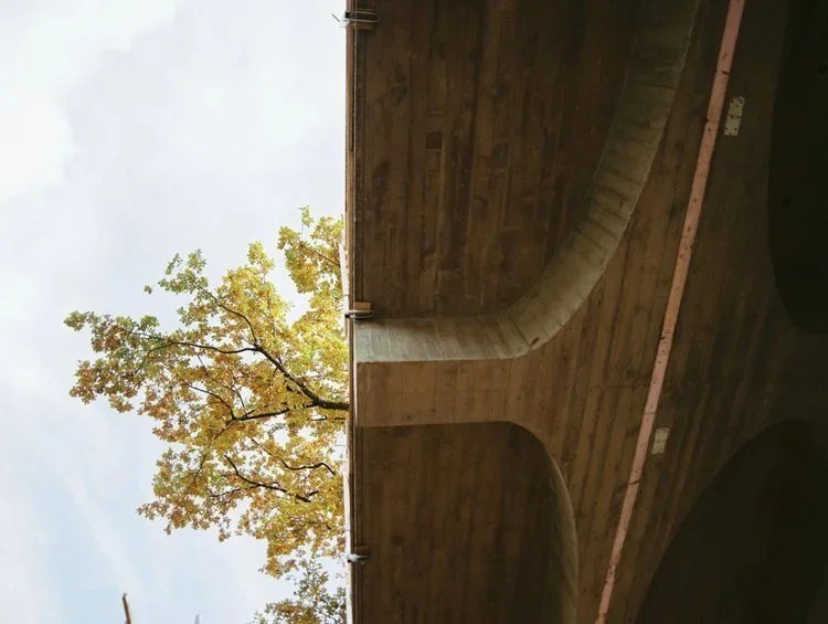 Ein Blick unter ein Holzgebäude zeigt die Unterseite des Daches mit einer großen, runden Verkleidung für eine Lüftungsleitung, während im Hintergrund ein Baum mit gelben Blättern und ein blauer Himmel mit Wolken sichtbar sind.