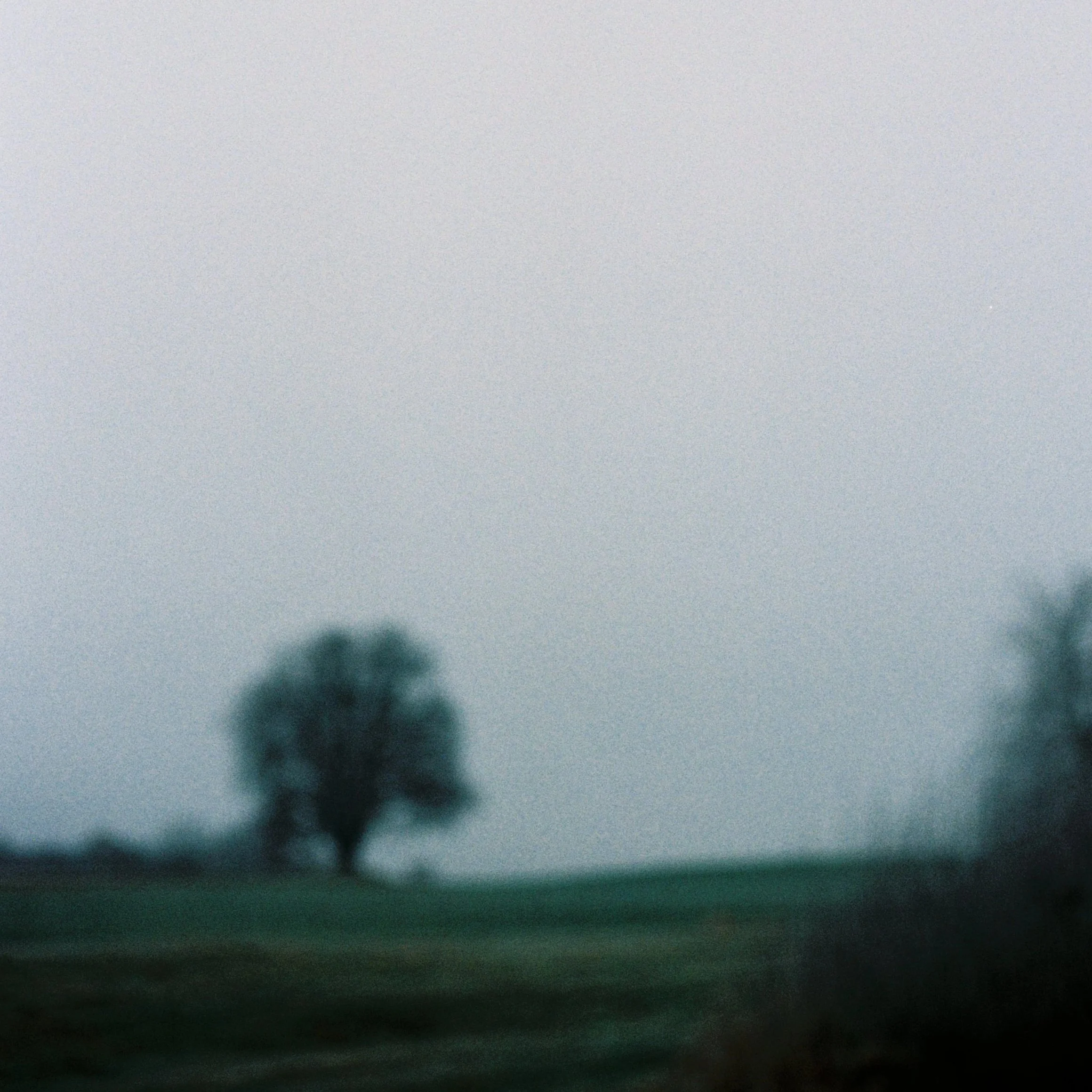 SiegridCain Hues of Home analog blurred tree landscape winter blues