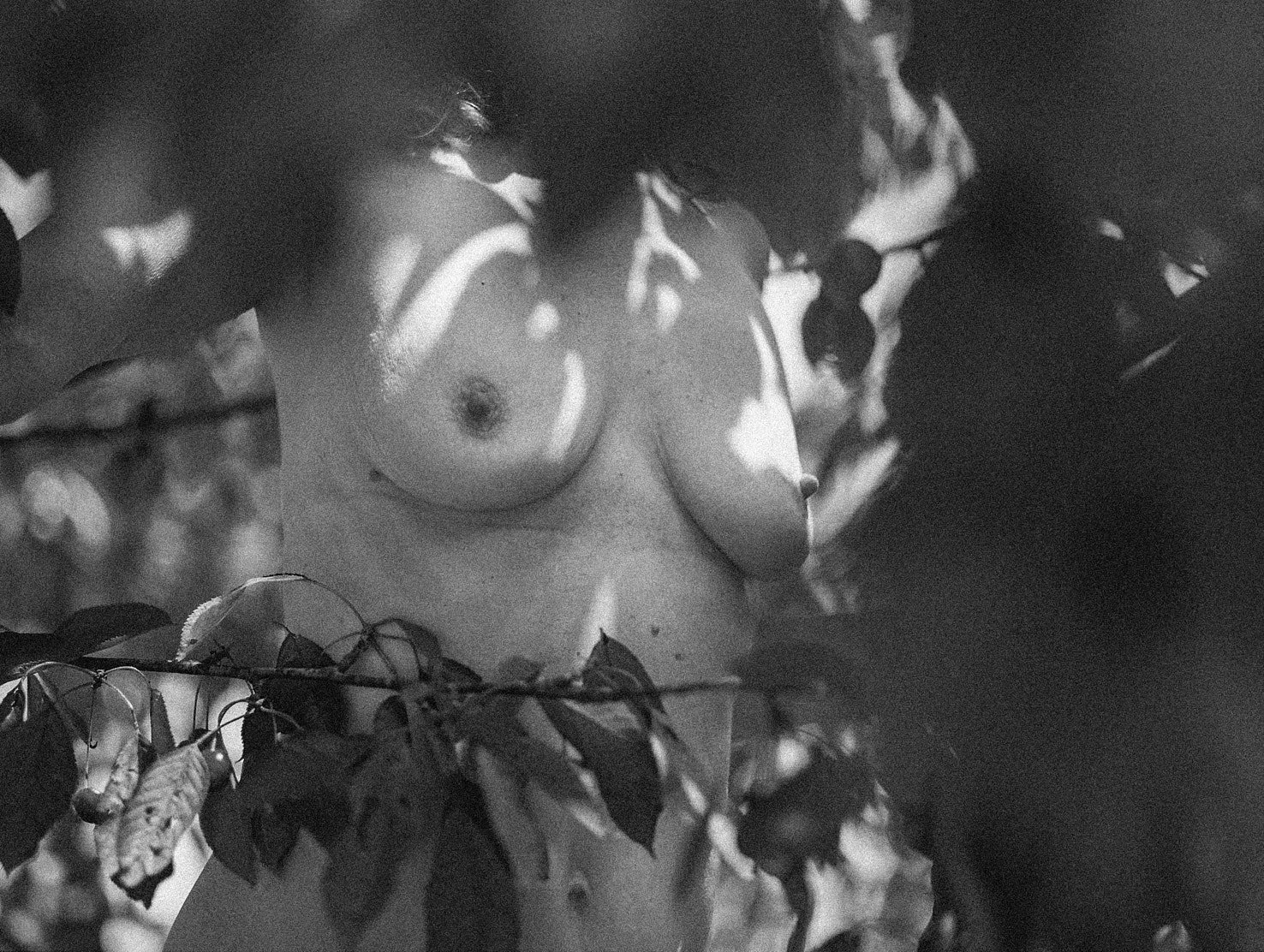 SiegridCainBoobsBlooms19-111xs.jpg